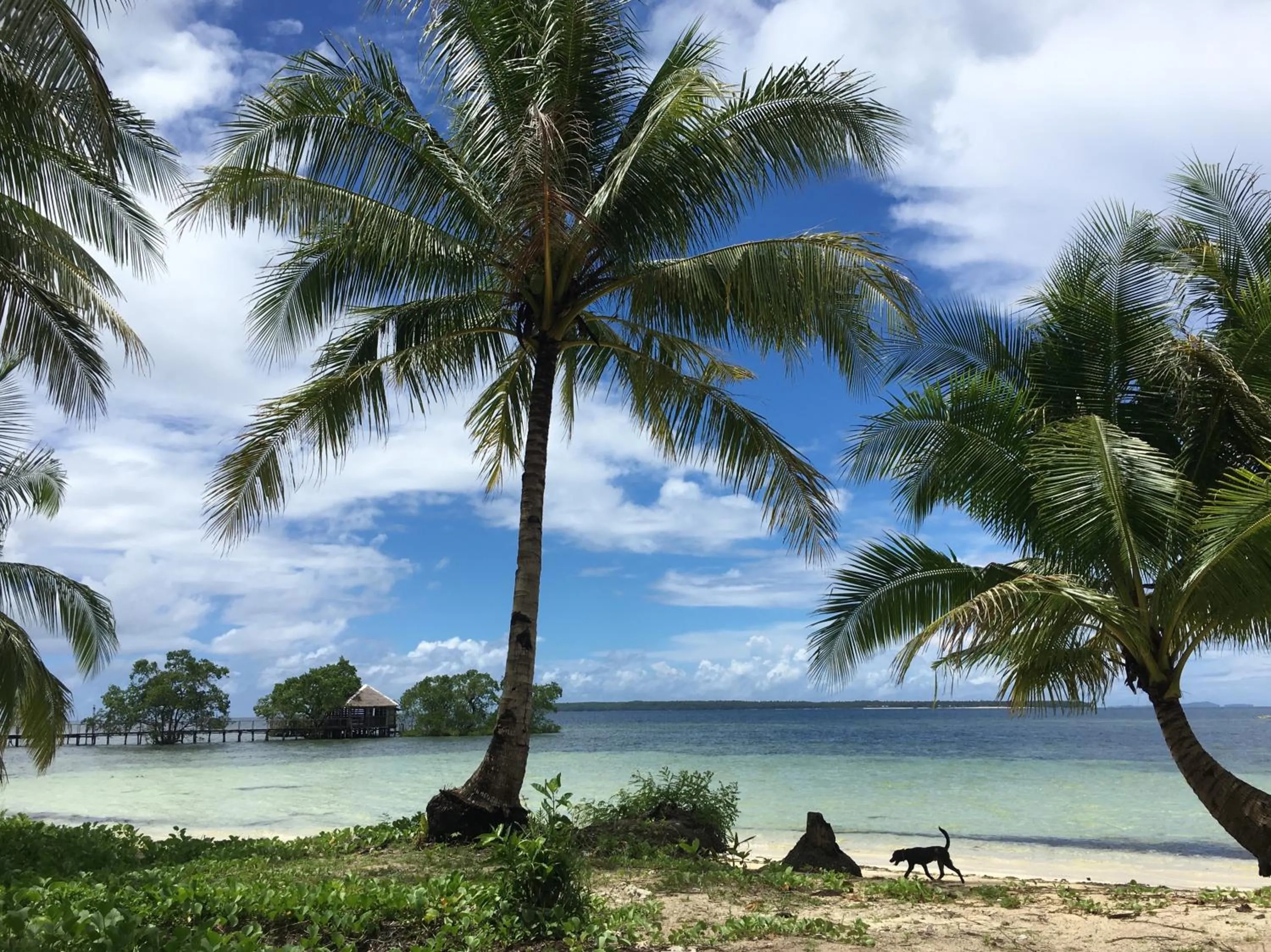 Secret Spot Siargao