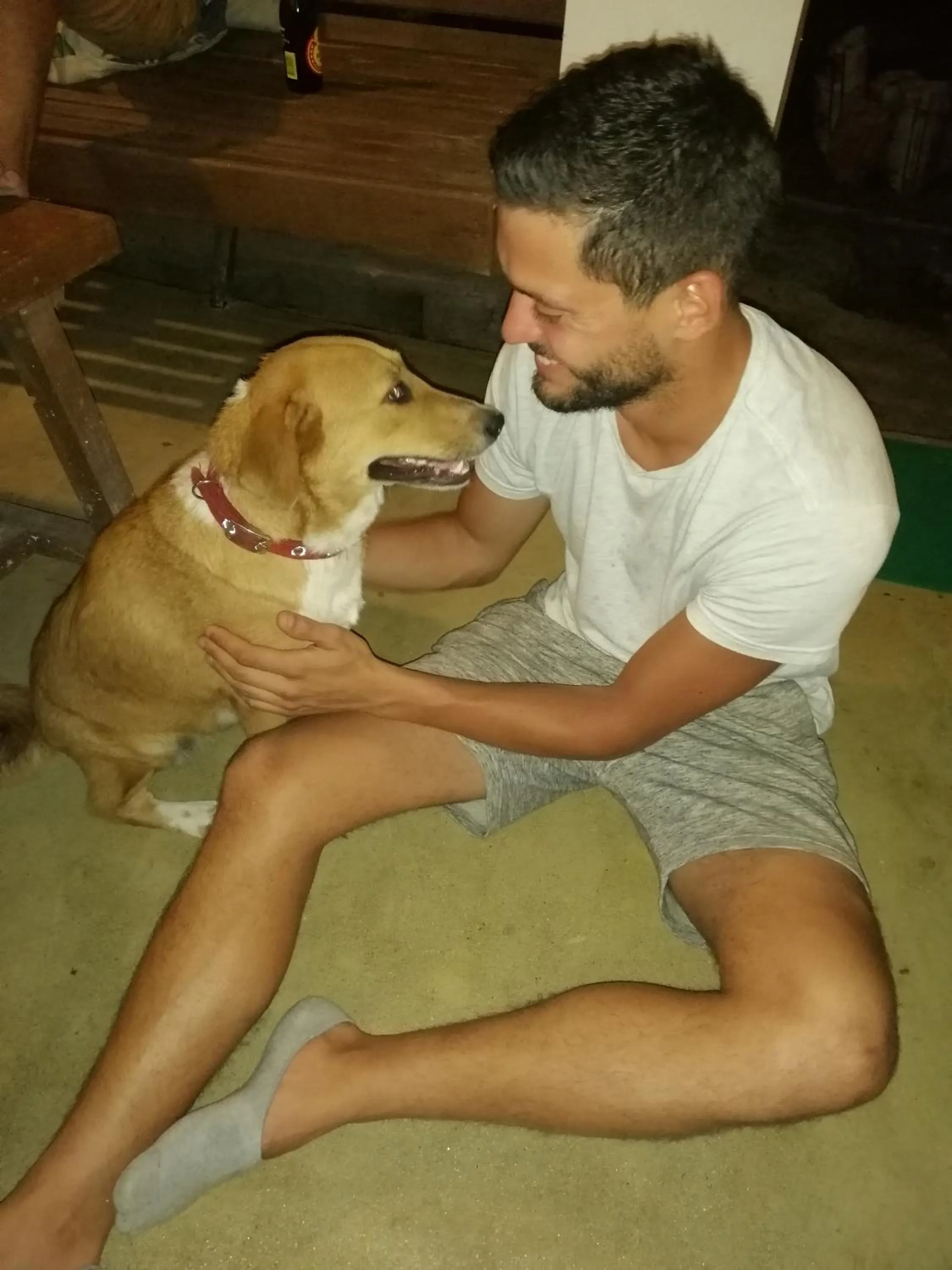 Pets in Secret Spot Siargao