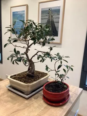 LE BEAU REPAIRE, chambres d'hôtes, quartier historique, 1 à 3 chambres, étage indépendant