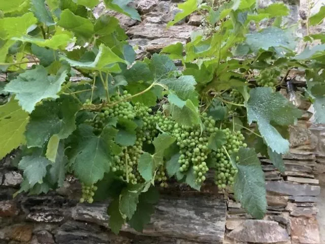 LE BEAU REPAIRE, chambres d'hôtes, quartier historique, 1 à 3 chambres, étage indépendant