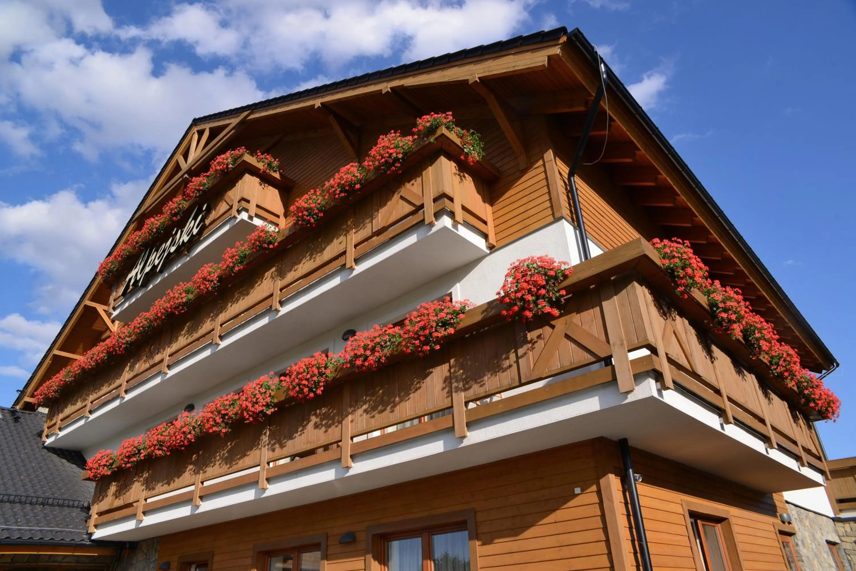 Property building in Hotel Alpejski