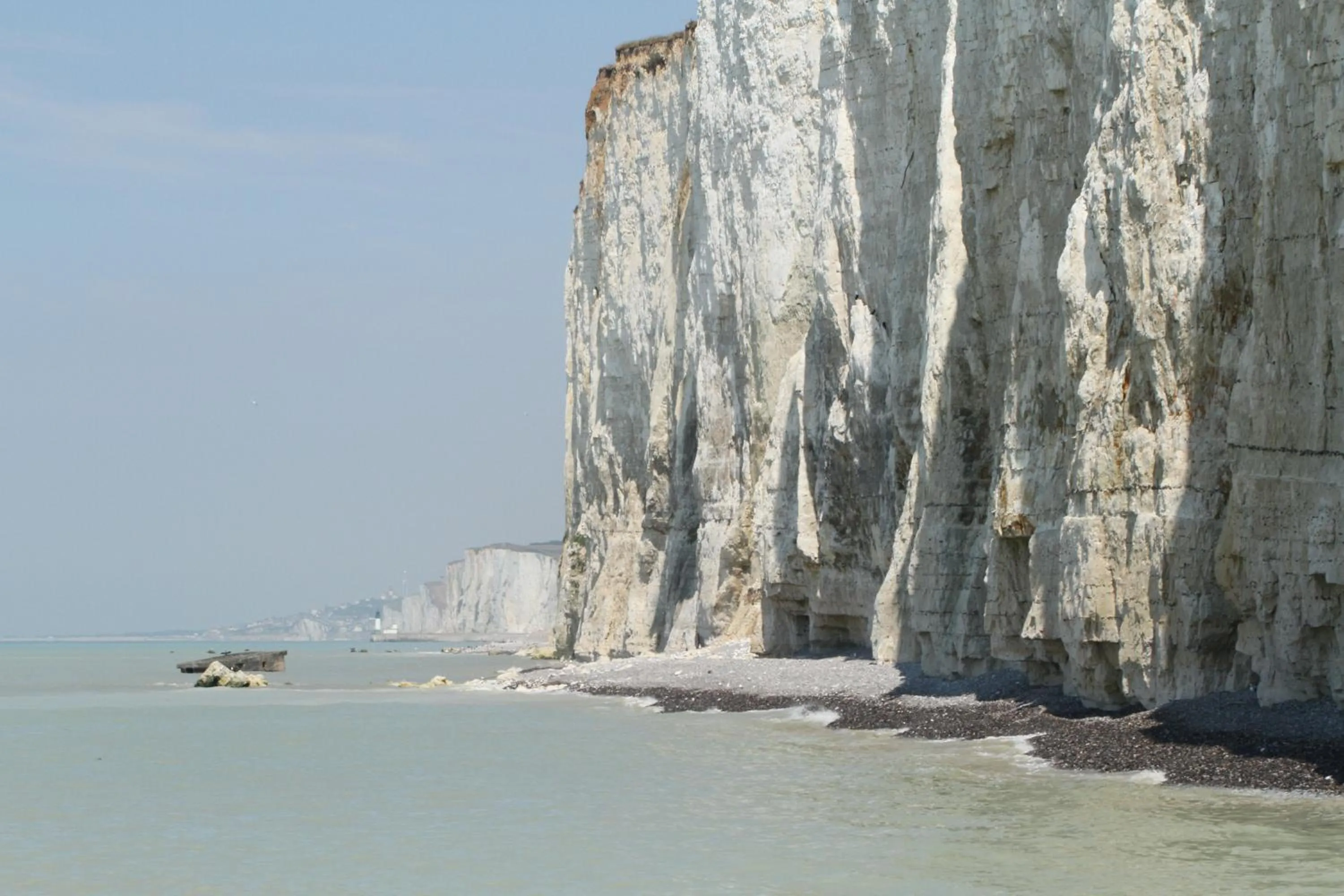 Natural landscape in Hotel Royal Albion