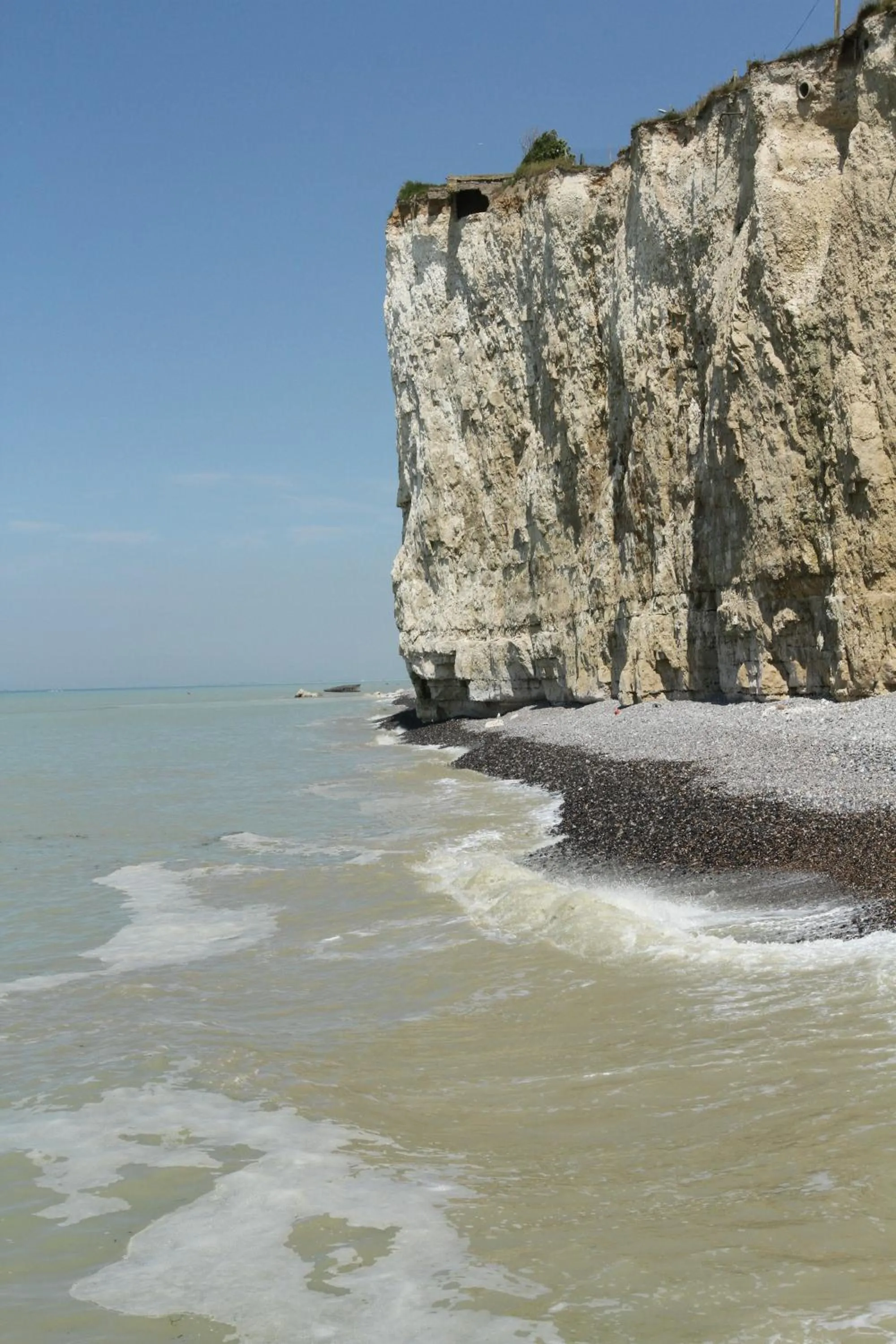 Natural landscape in Hotel Royal Albion