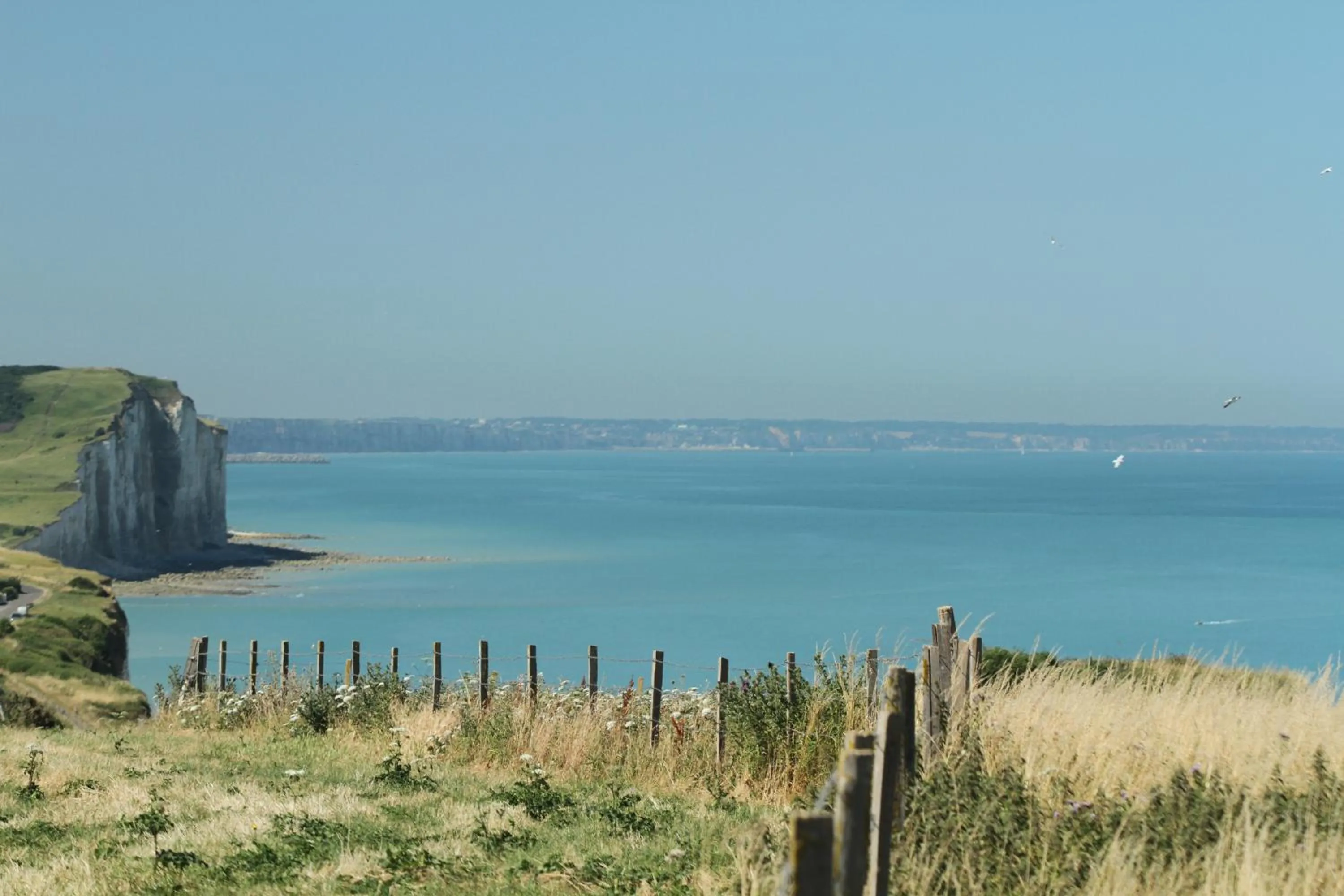 Natural landscape in Hotel Royal Albion