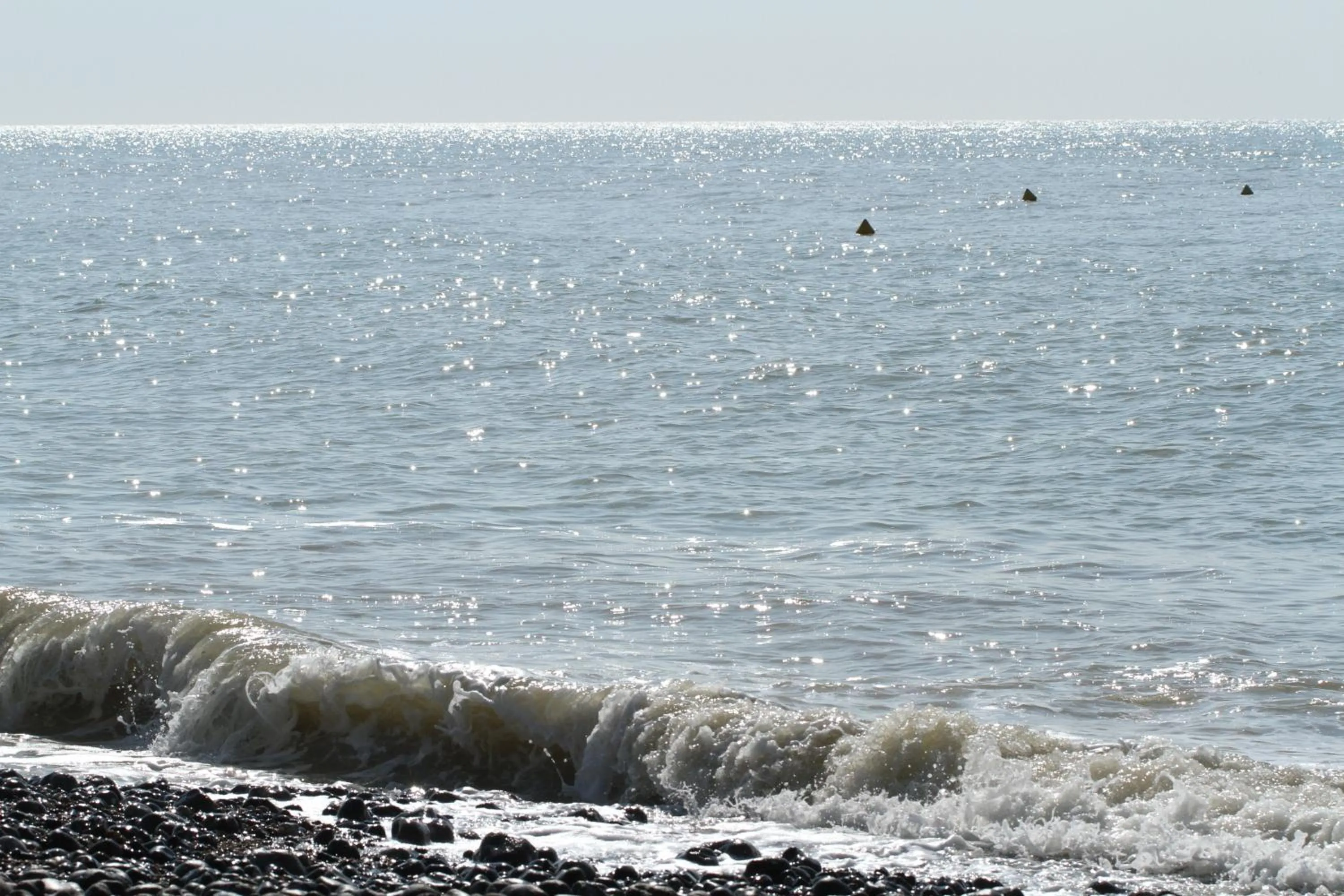 Natural landscape in Hotel Royal Albion
