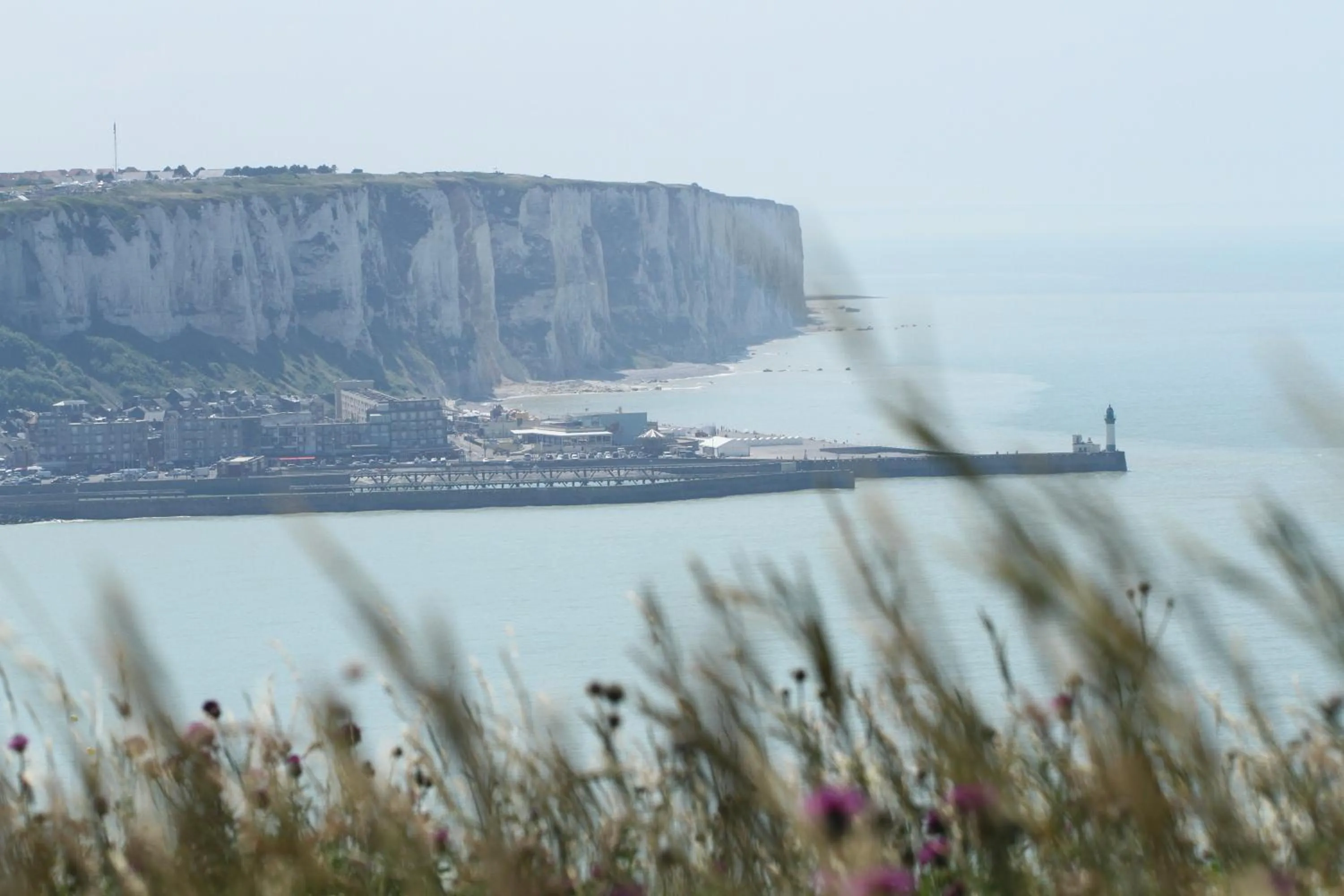 Natural landscape in Hotel Royal Albion