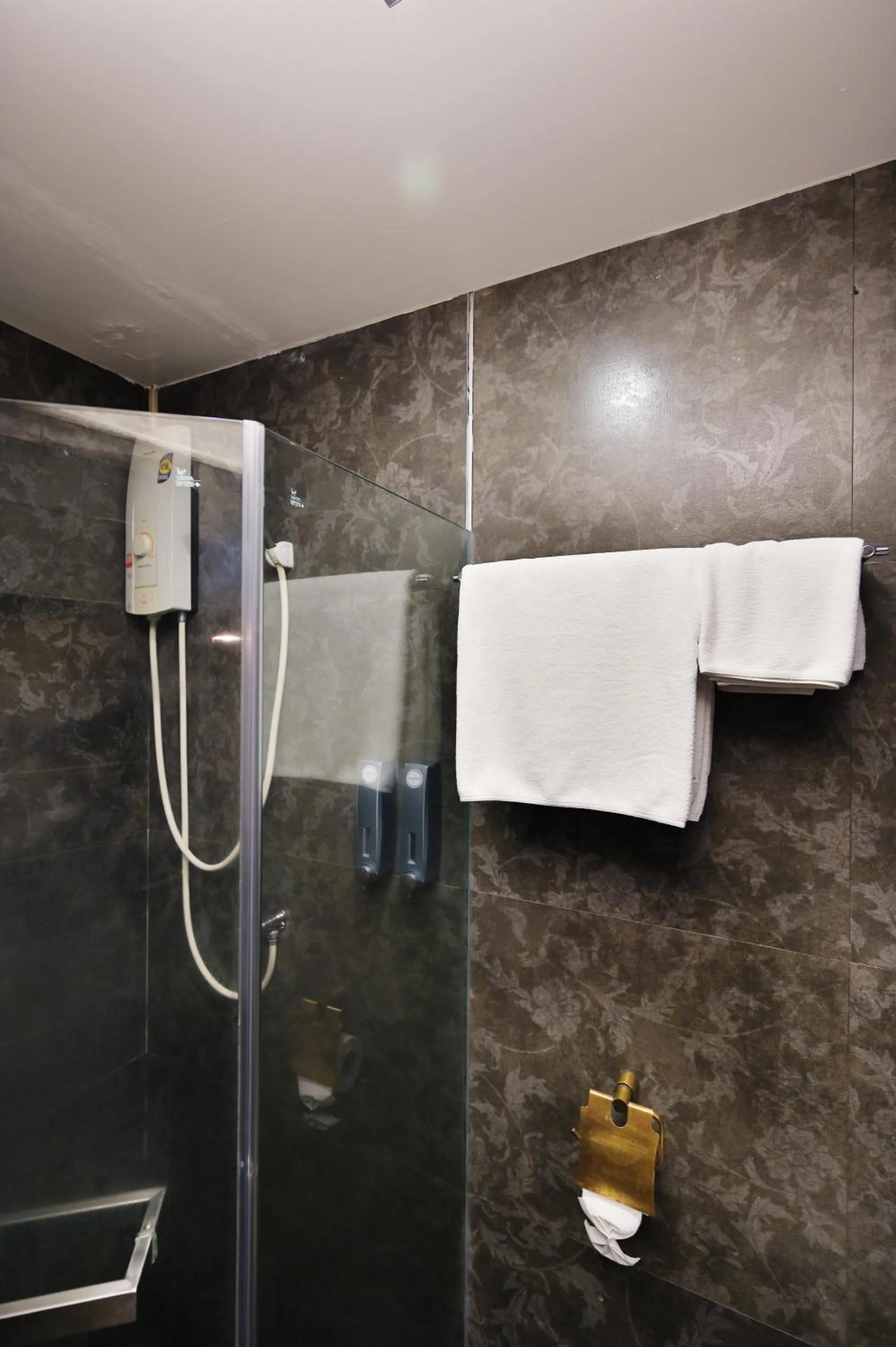 Shower in Diary Suite