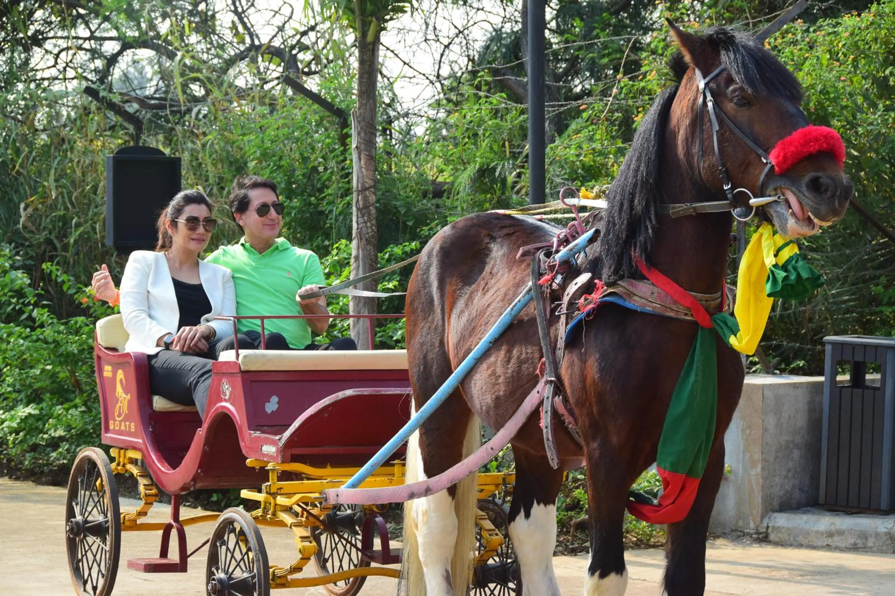 Activities in Fazlani Natures Nest - The Wellness Retreat