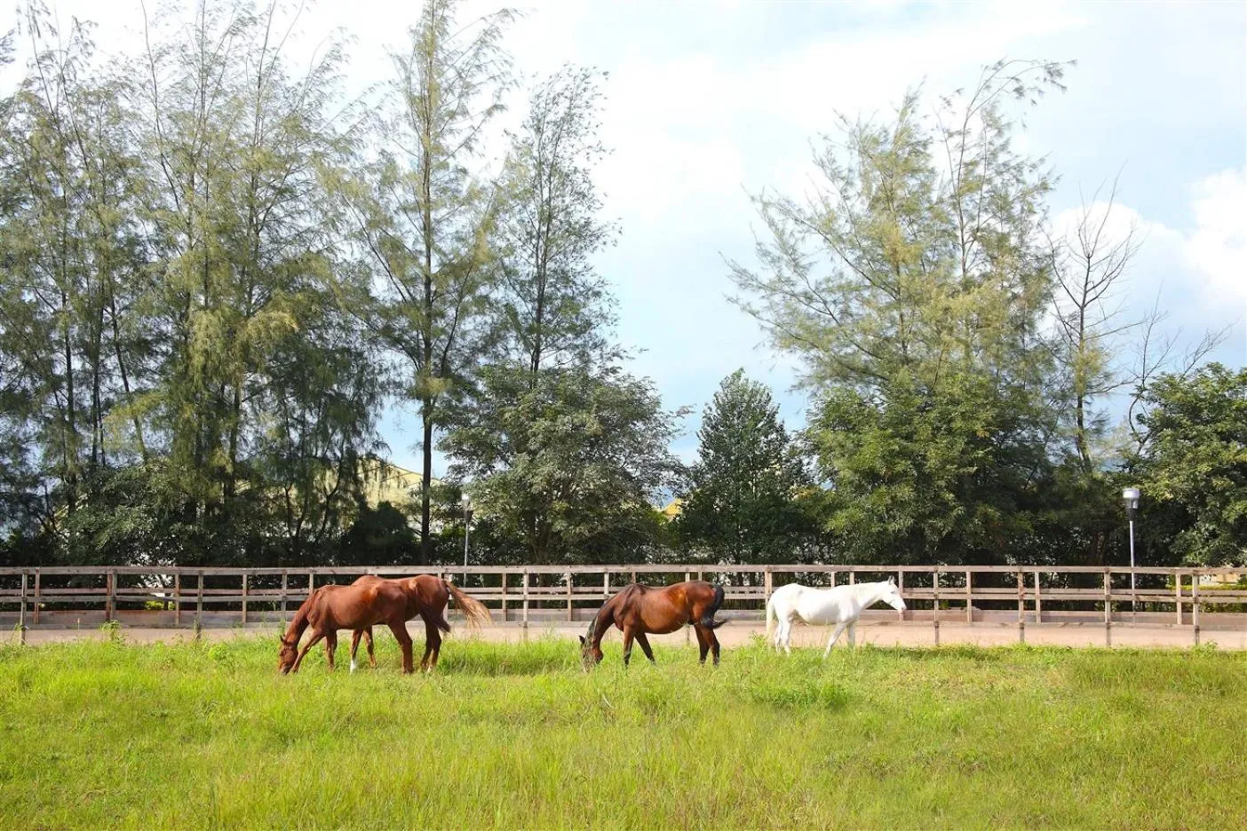 Horse-riding in Fazlani Natures Nest - The Wellness Retreat