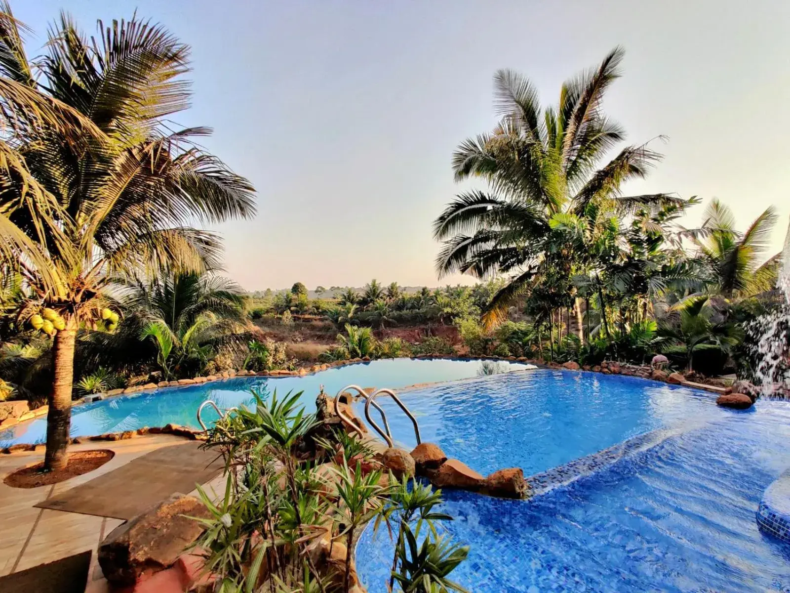 Swimming pool in Fazlani Natures Nest - The Wellness Retreat Swimming pool in Fazlani Natures Nest - The Wellness Retreat