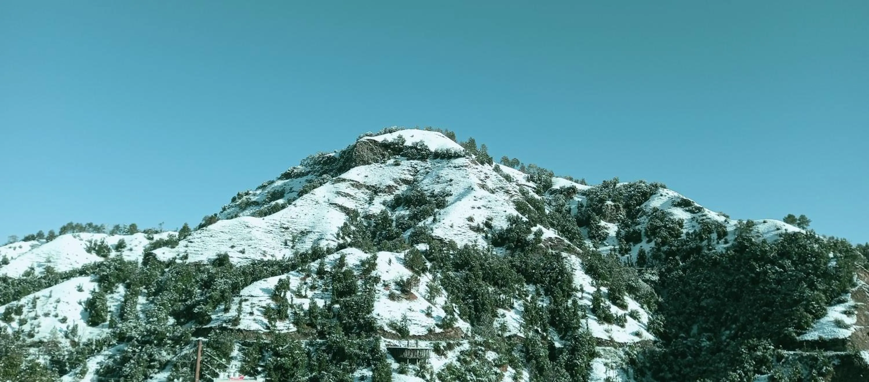 Natural landscape in ShriGo Hotel Kaithli Hills Shimla