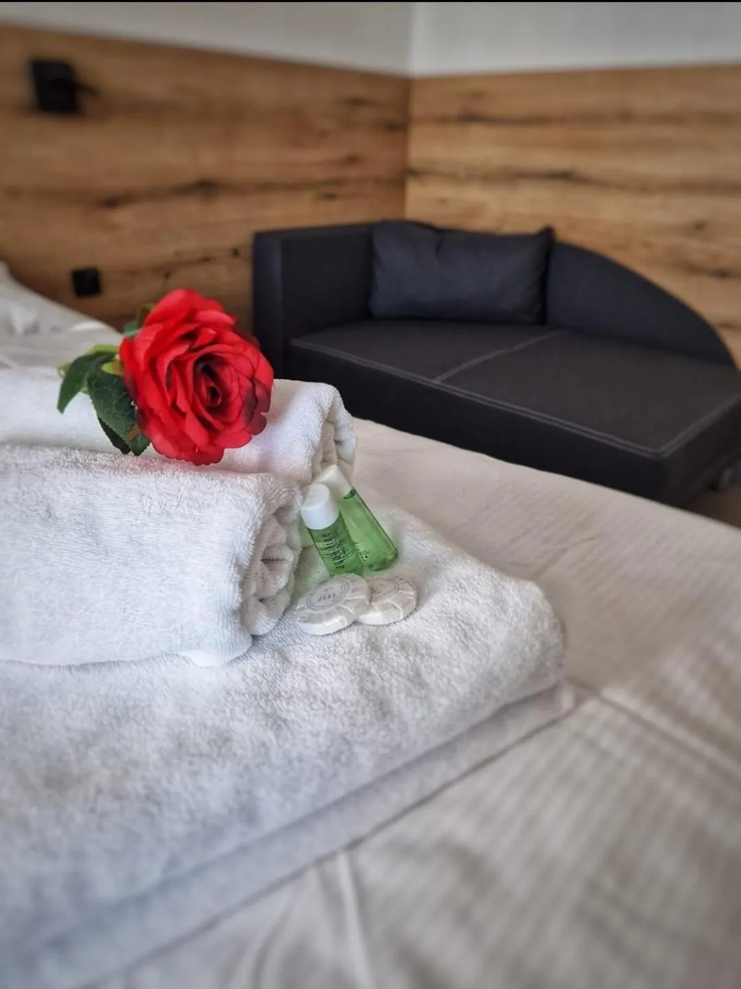 towels, Bed in Hotel U Labutě