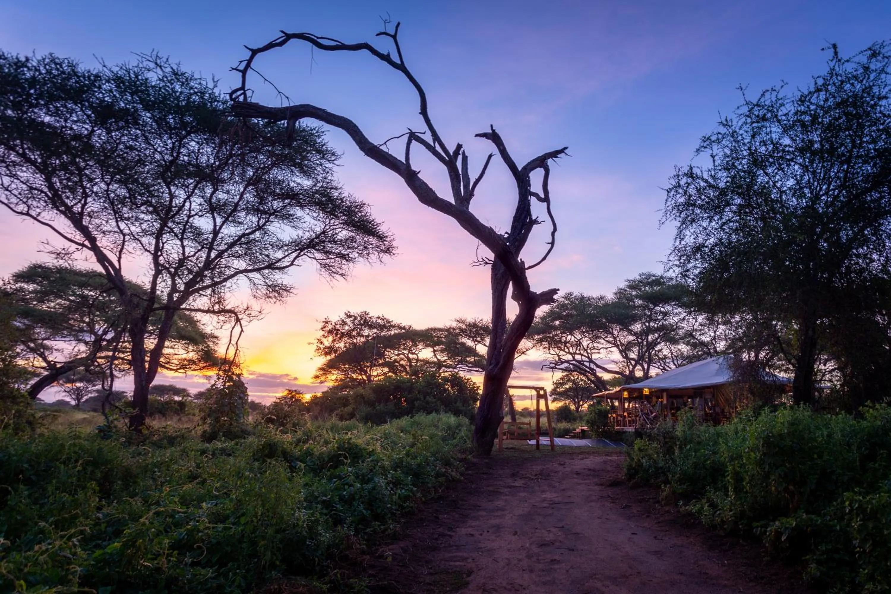 View (from property/room) in Baobab Tented Camp