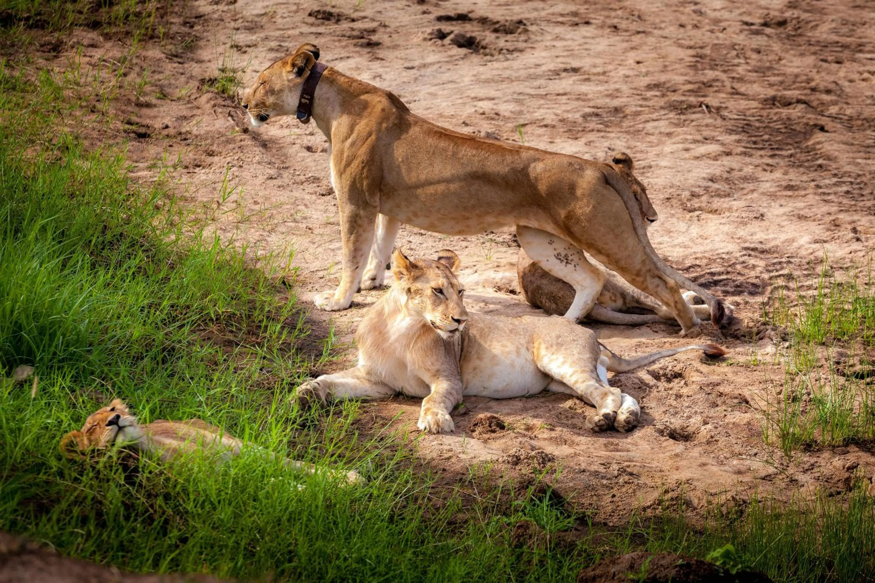 Natural landscape in Baobab Tented Camp