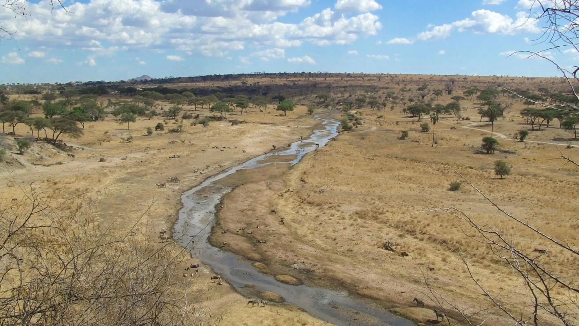 Natural landscape in Baobab Tented Camp