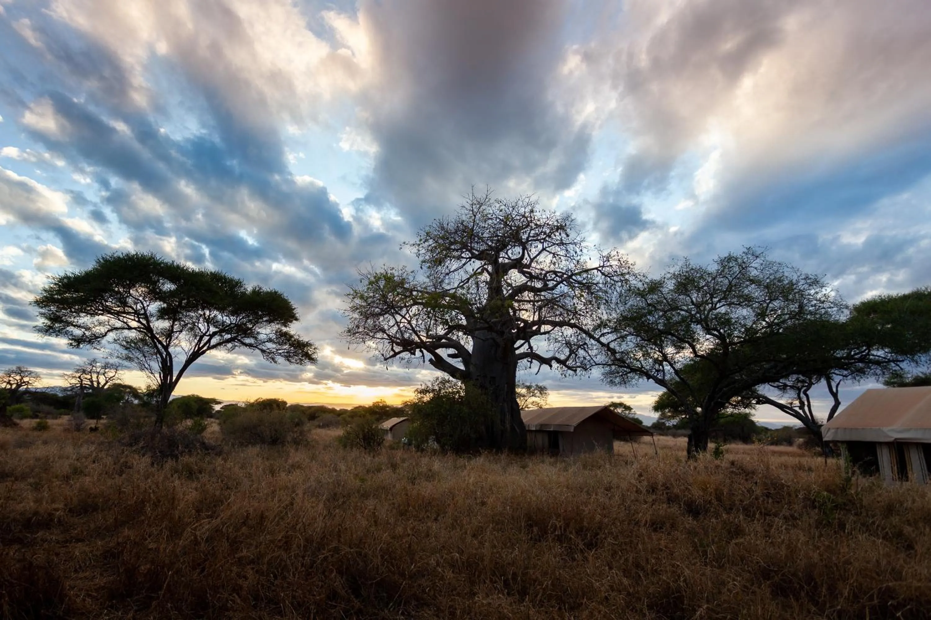 Natural landscape in Baobab Tented Camp