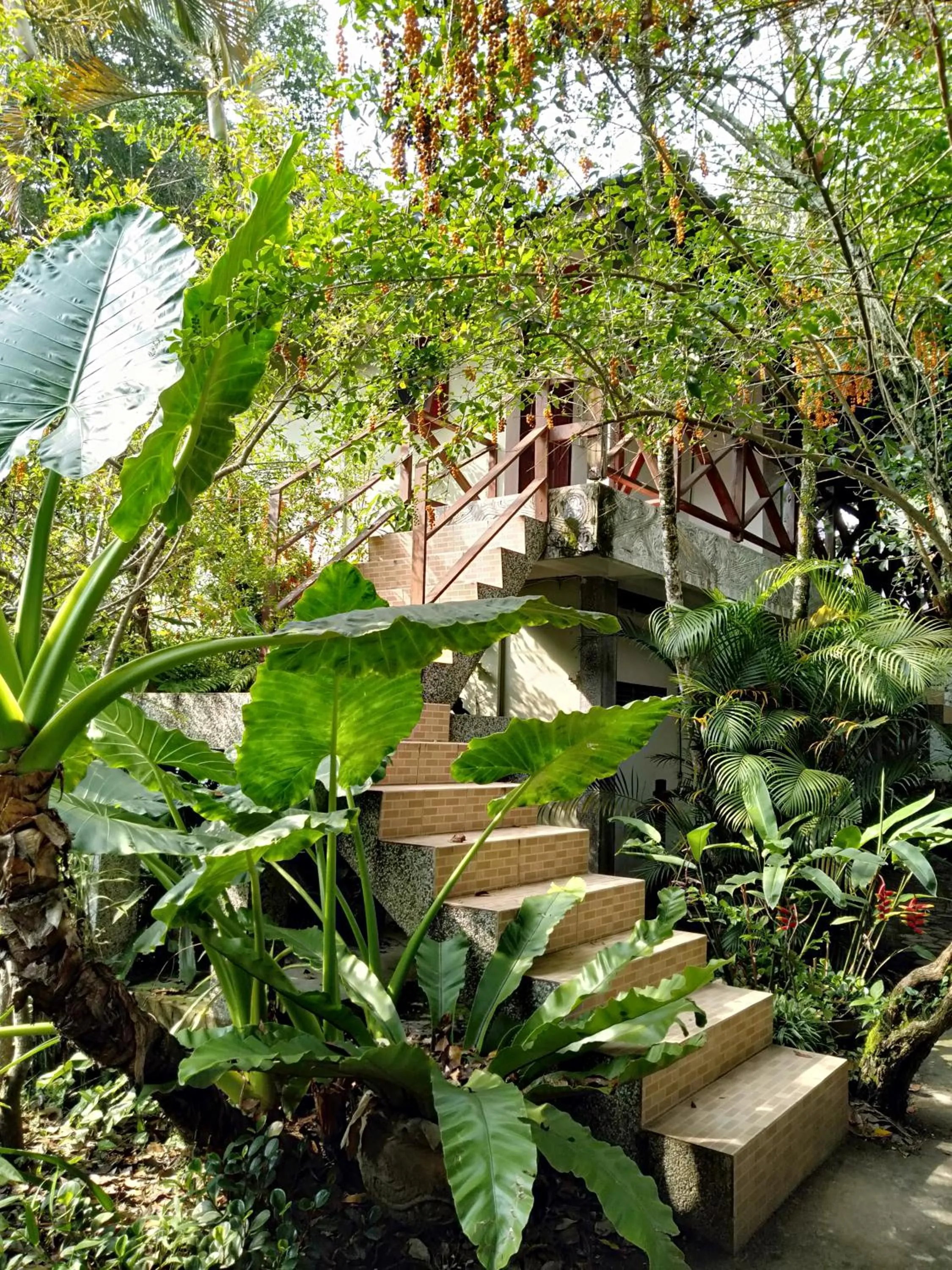 Garden view in Bagus Bay Homestay