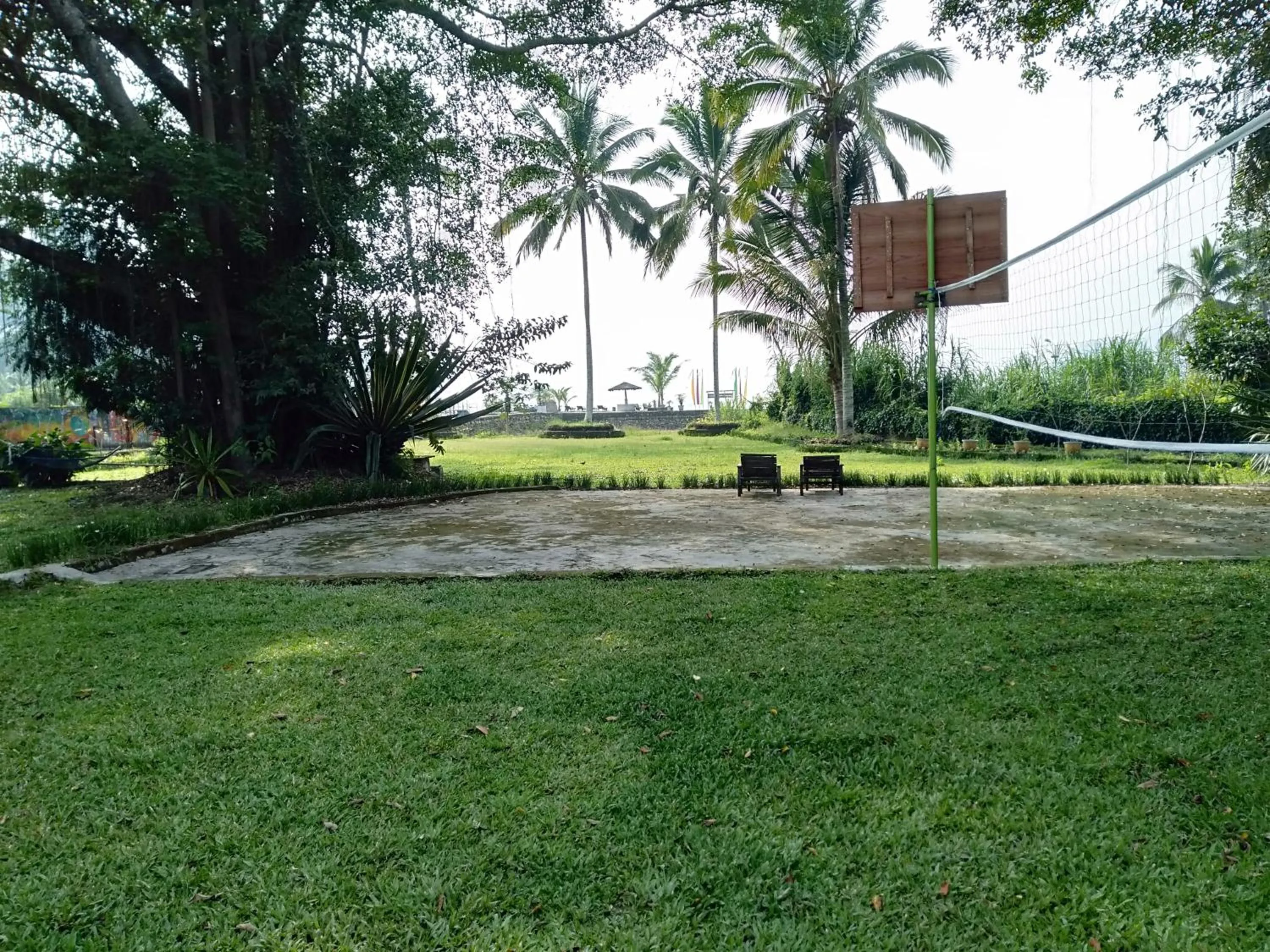 Garden in Bagus Bay Homestay