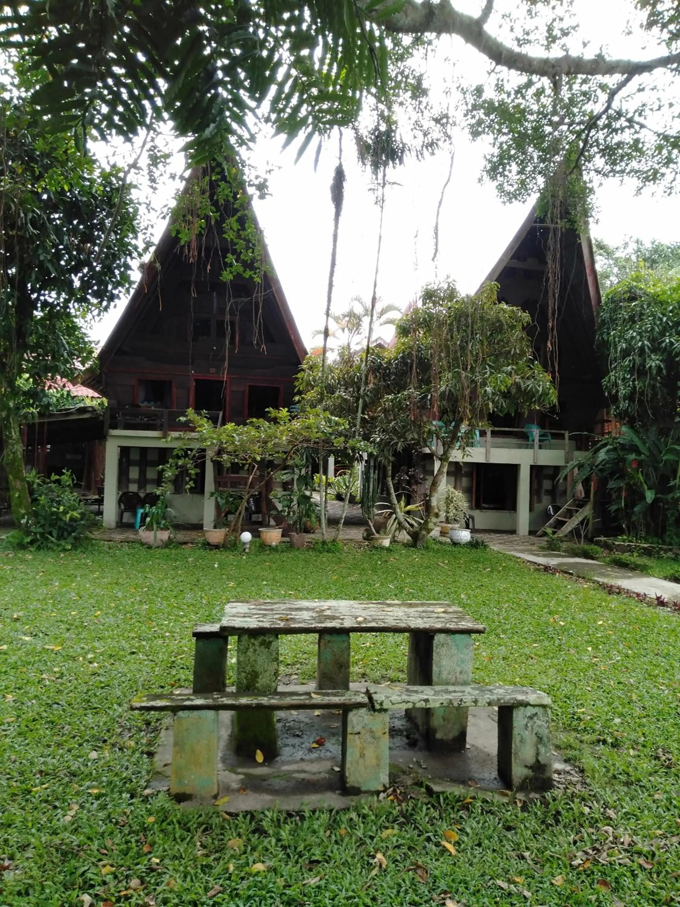 Garden in Bagus Bay Homestay