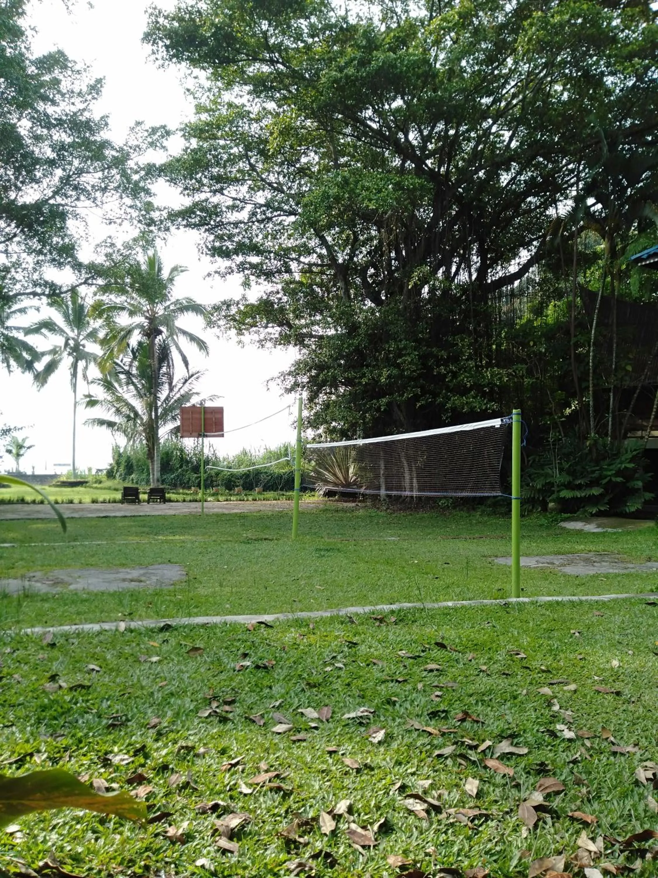 Garden in Bagus Bay Homestay