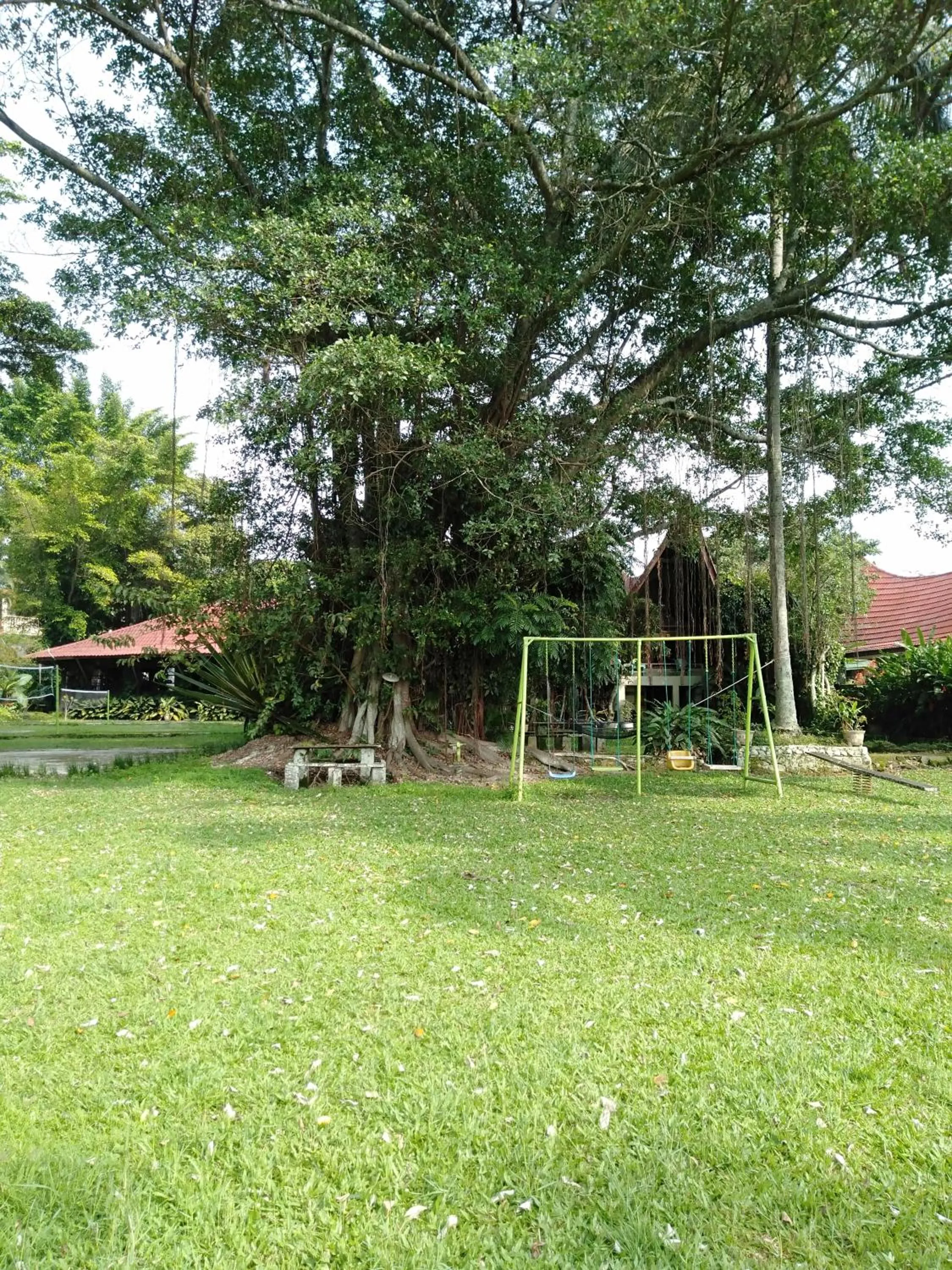 Garden in Bagus Bay Homestay