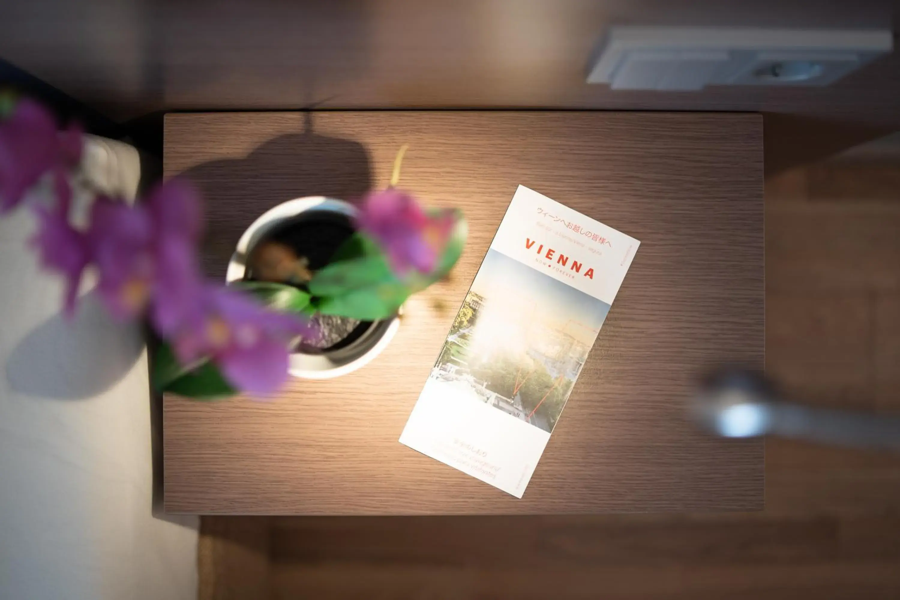 Lobby or reception in Hotel Orangerie Lobby or reception in Hotel Orangerie