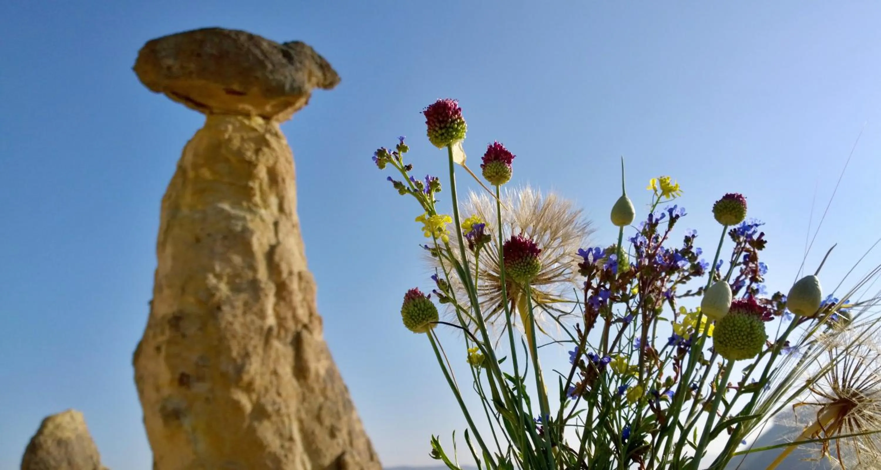 Mountain view in Grand Cave Suites