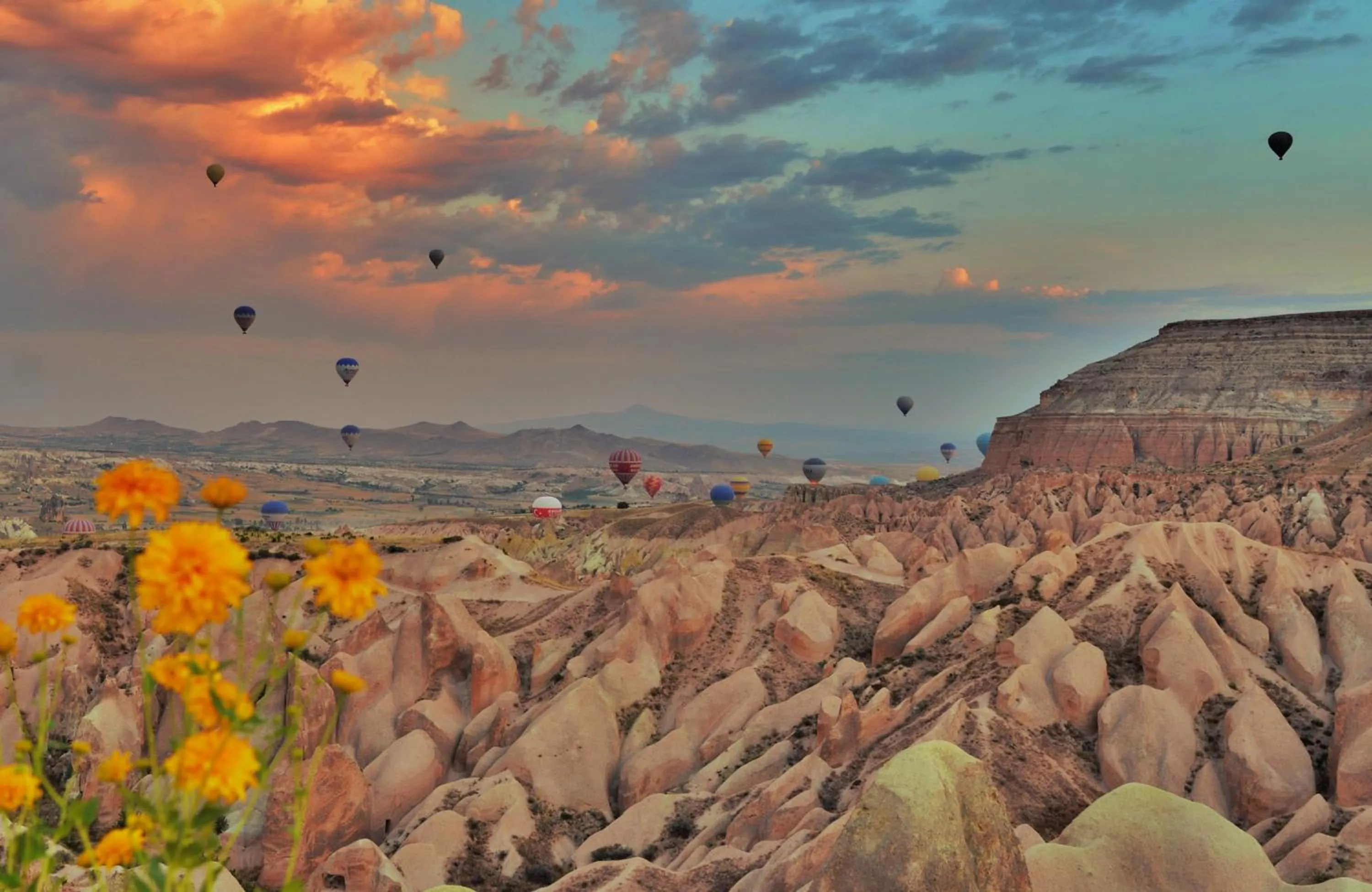 Horse-riding in Grand Cave Suites