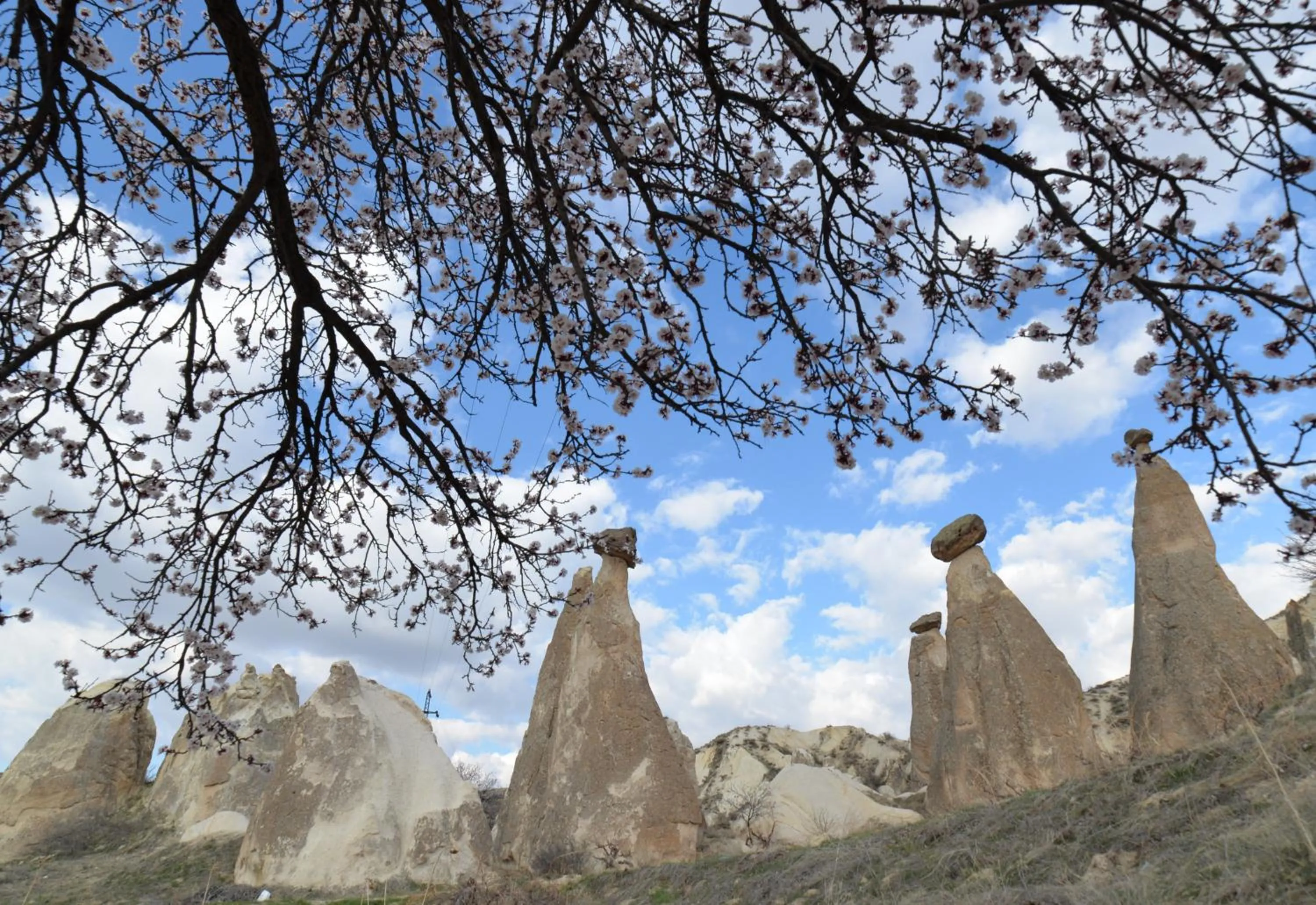 Nearby landmark in Grand Cave Suites