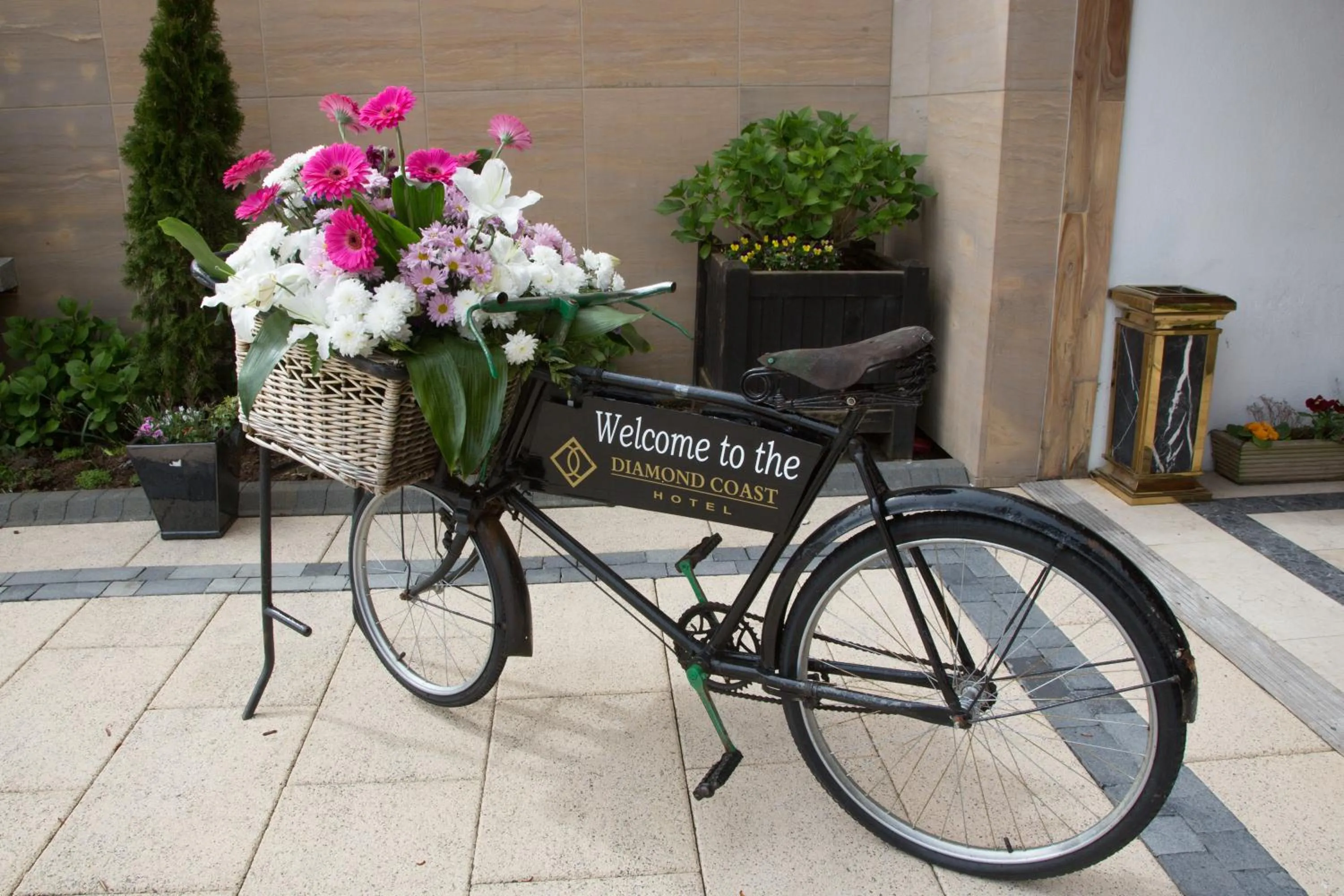 Other in Diamond Coast Hotel