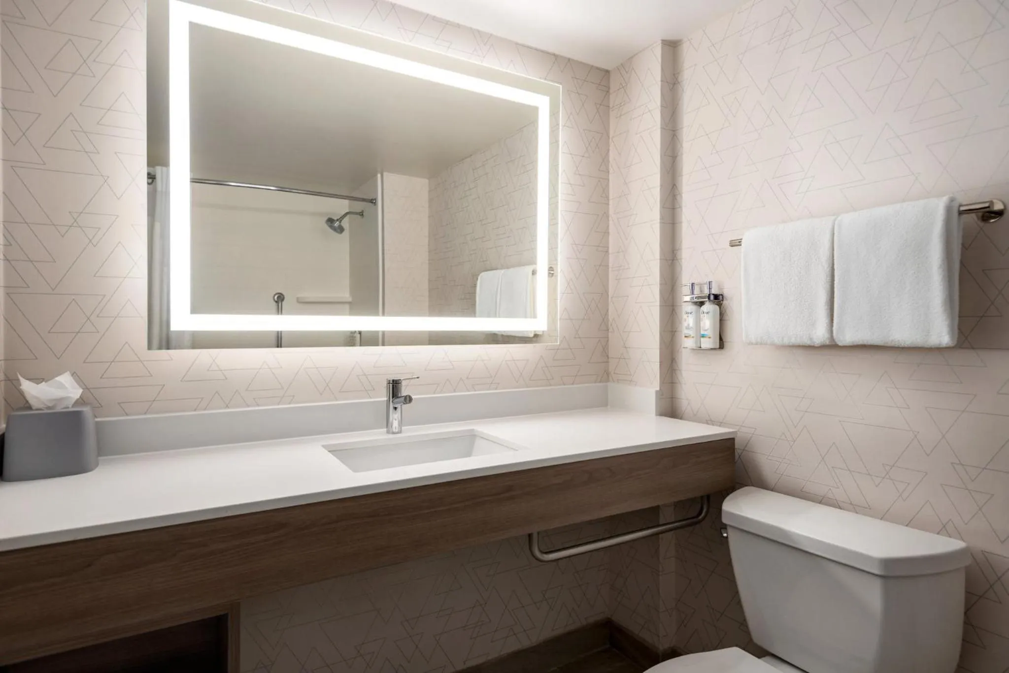 Bathroom in Holiday Inn Express & Suites Mobile West I-10 by IHG