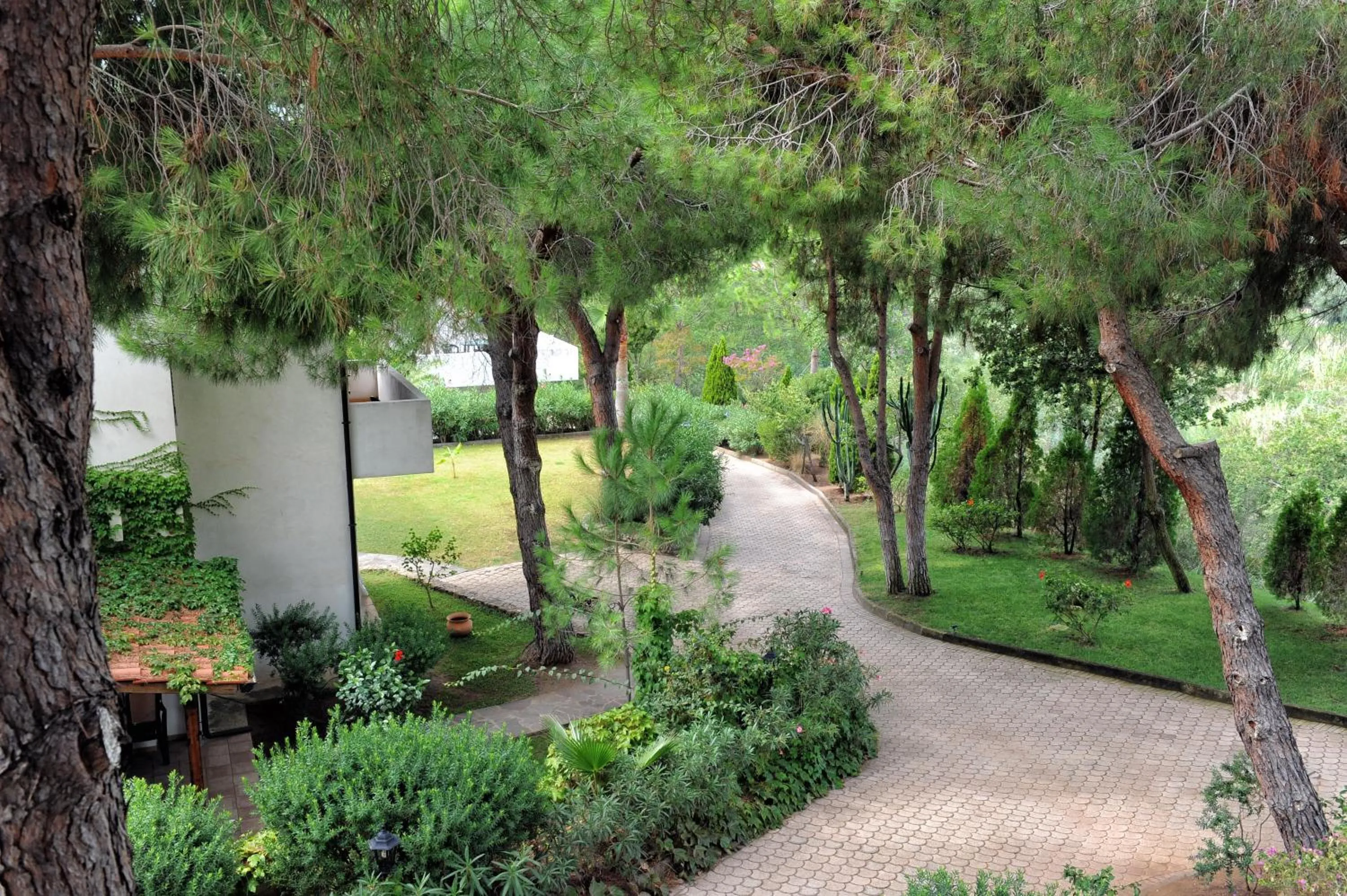 Property building in Villaggio Pineta Petto Bianco