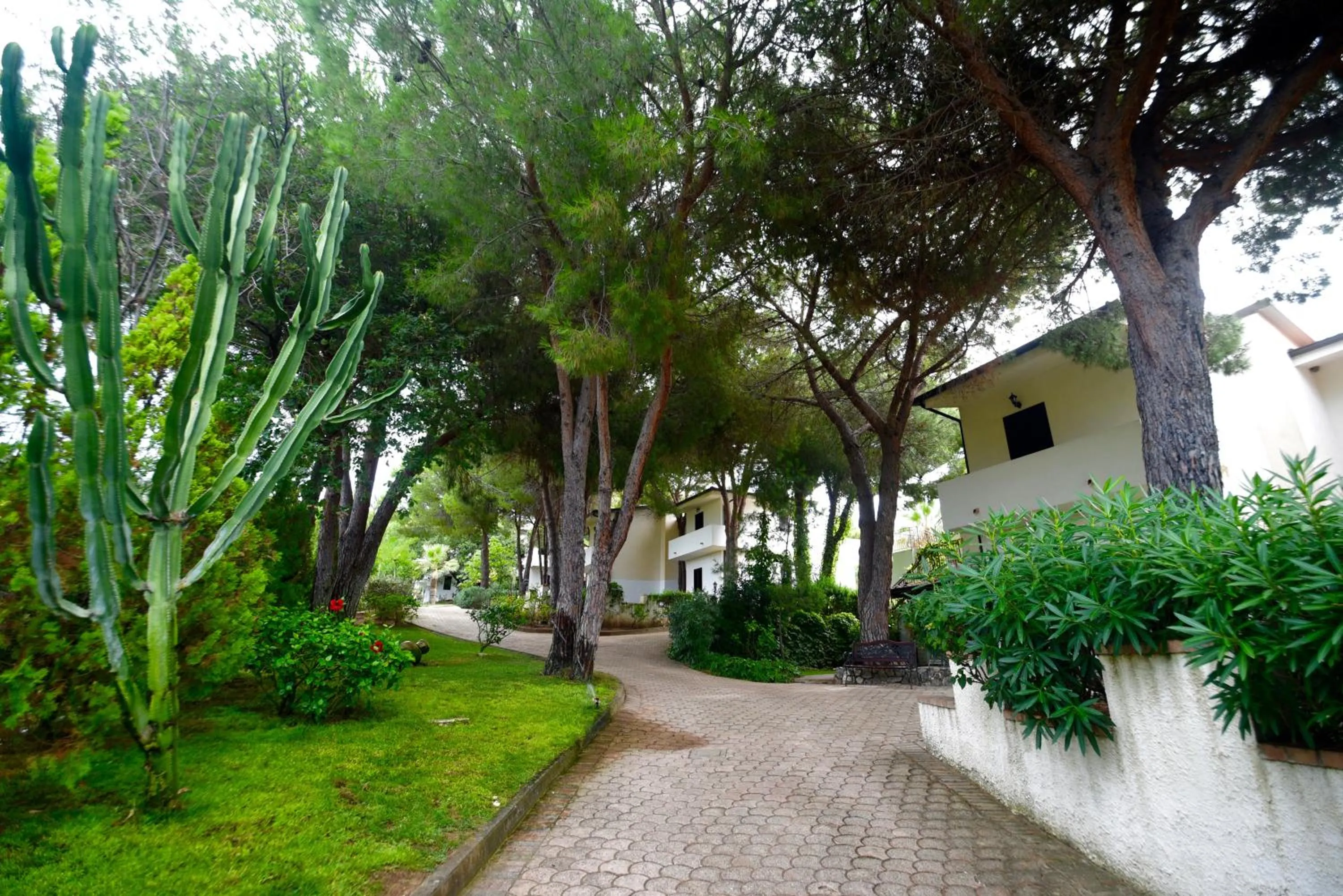 Property building in Villaggio Pineta Petto Bianco