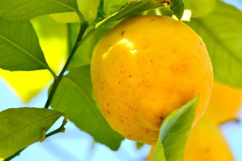 Other in Hotel Anfora