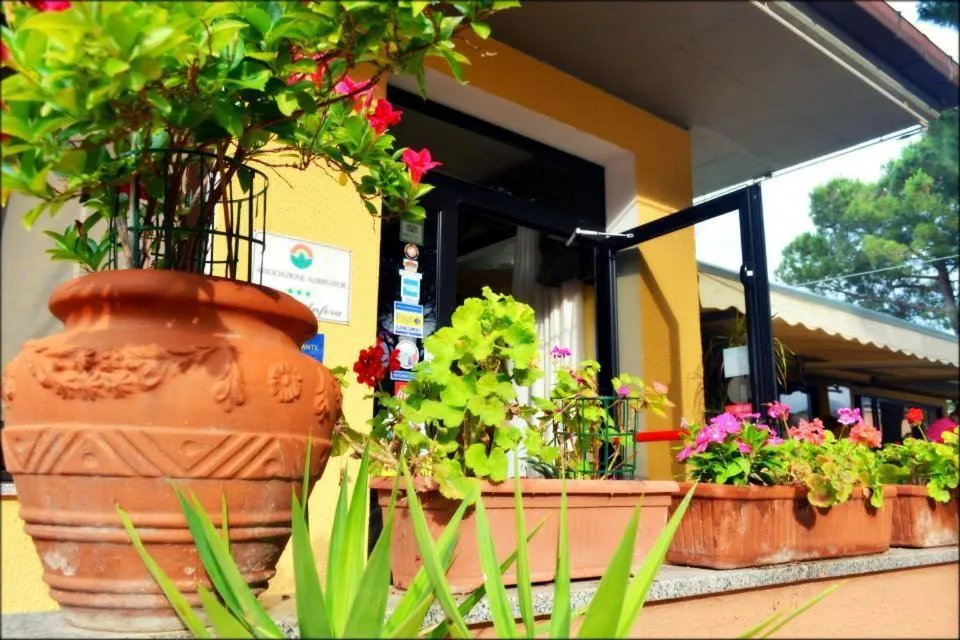 Decorative detail in Hotel Anfora