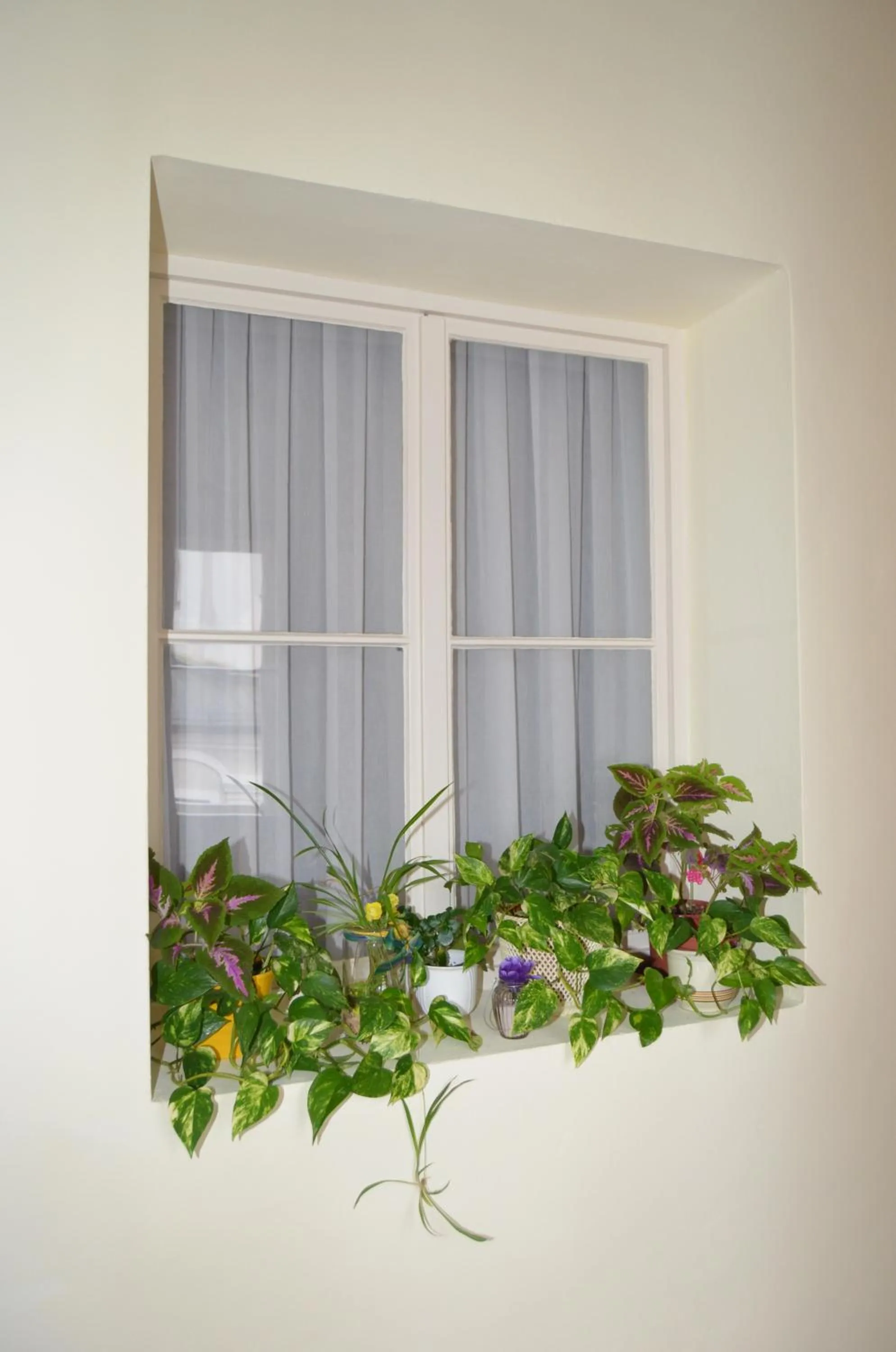 Decorative detail in Gästehaus im Priesterseminar Salzburg