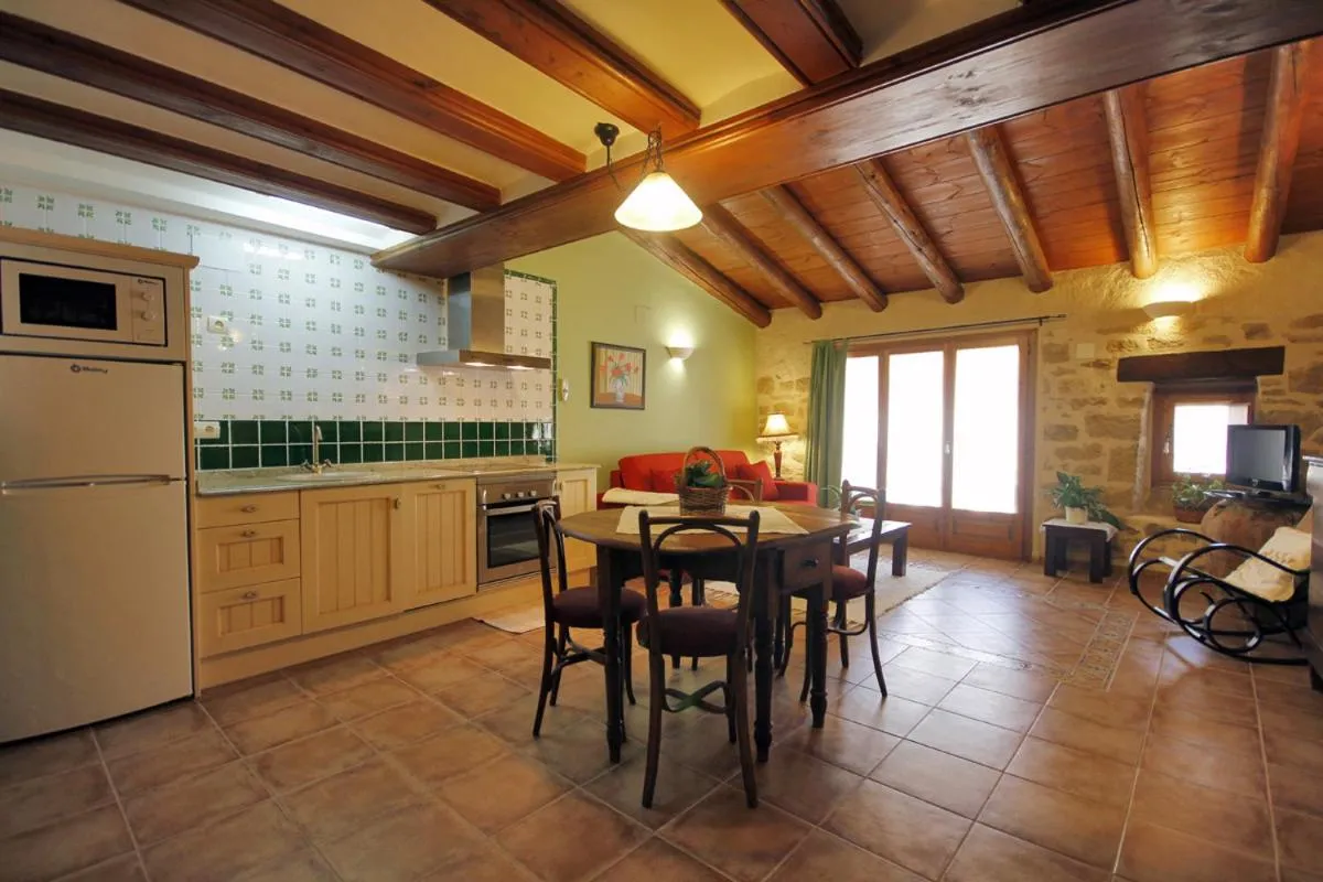 Kitchen or kitchenette in Apartamentos Santa Agueda