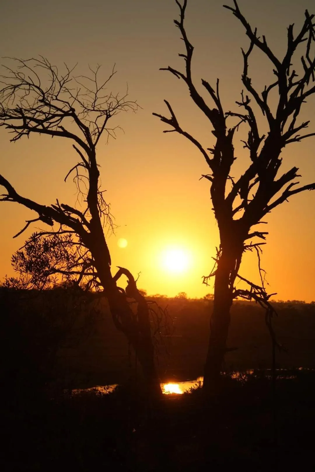 Sunset in Doringpoort Lodge