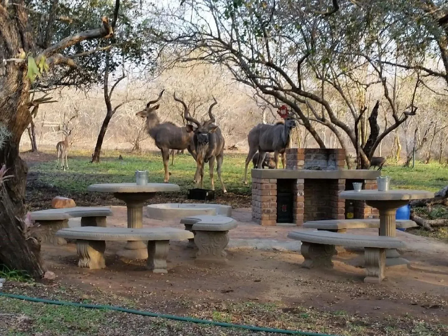 BBQ facilities in Doringpoort Lodge