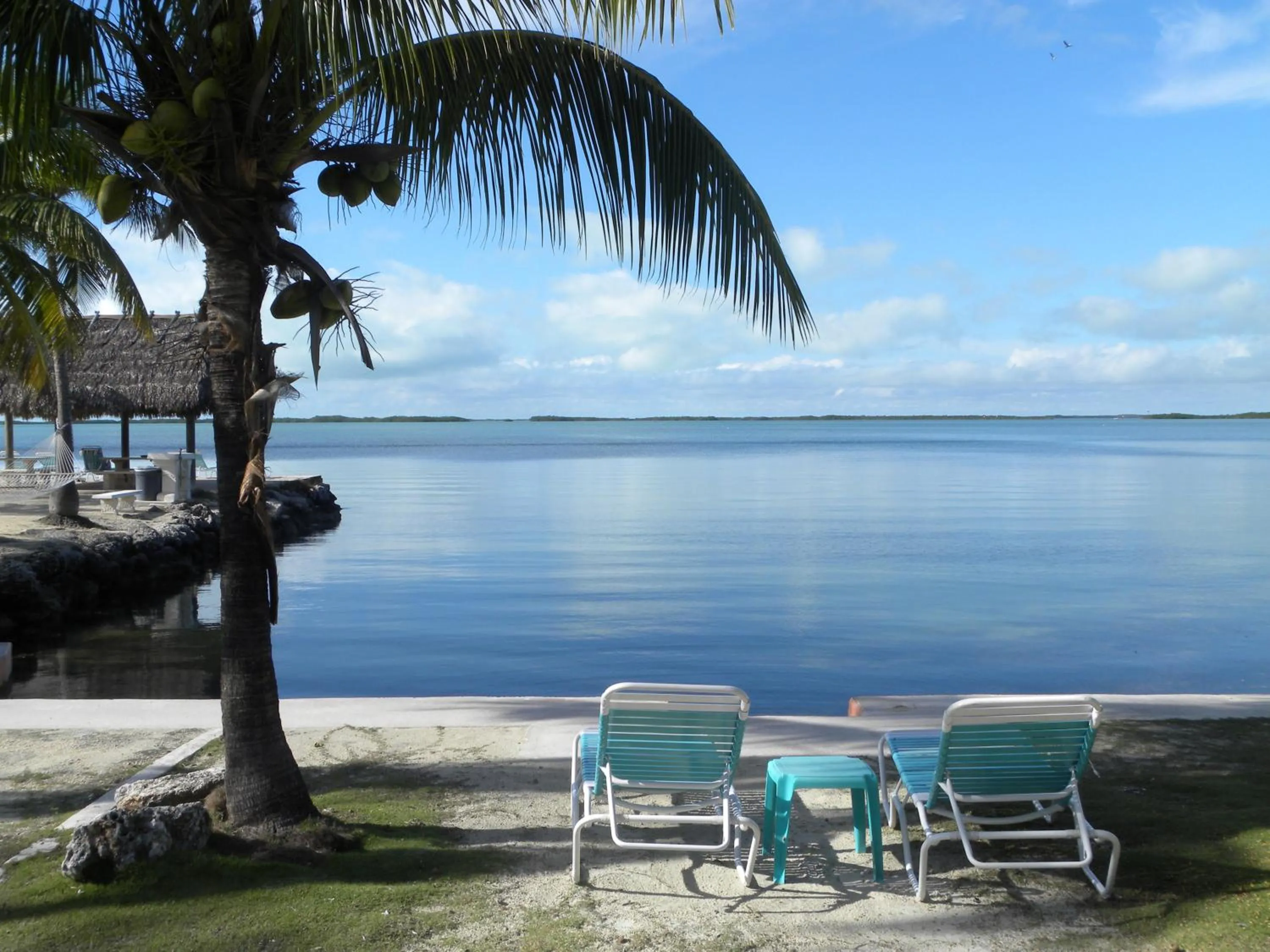 Natural landscape in Rock Reef Resort