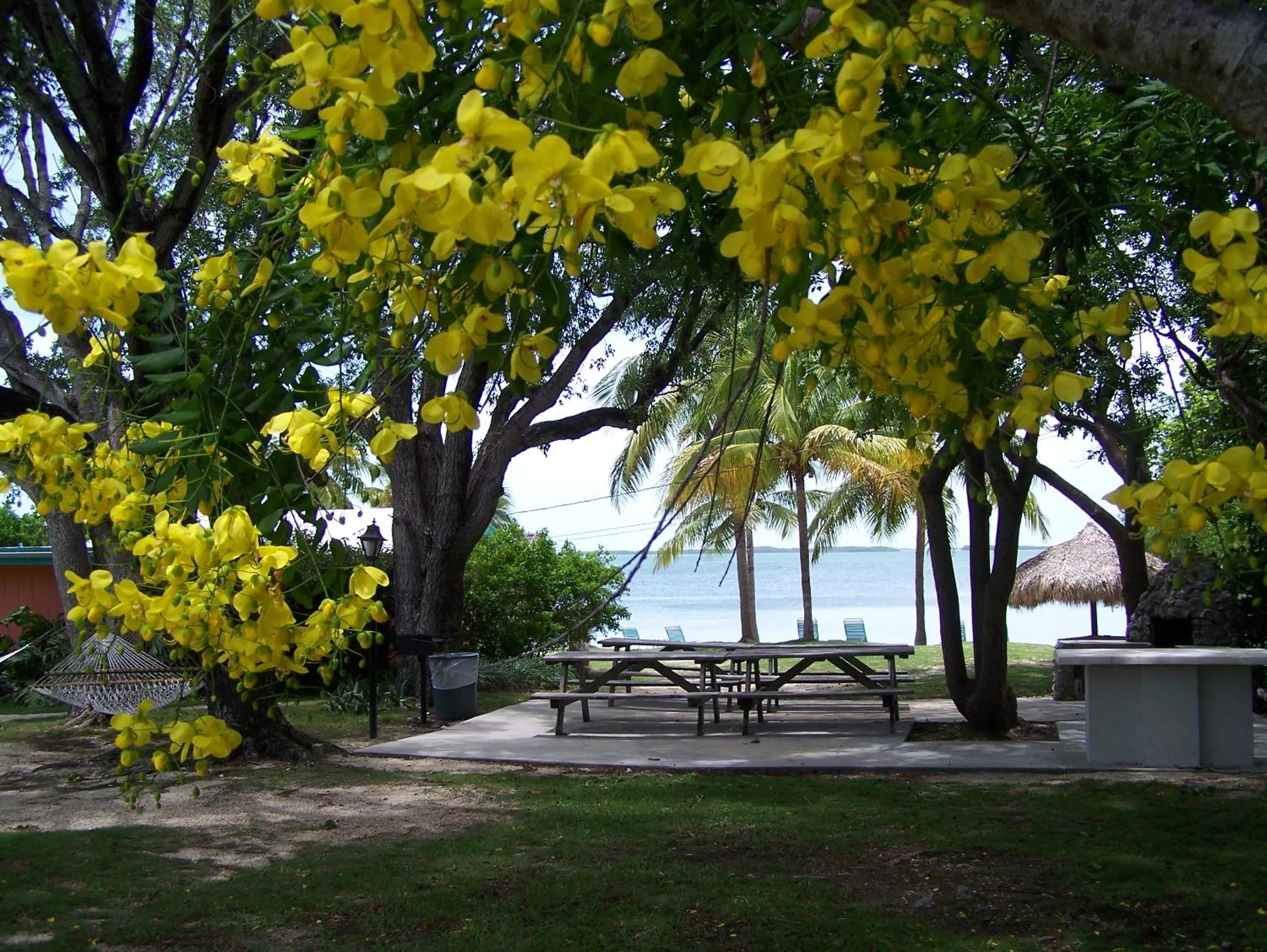 BBQ facilities in Rock Reef Resort