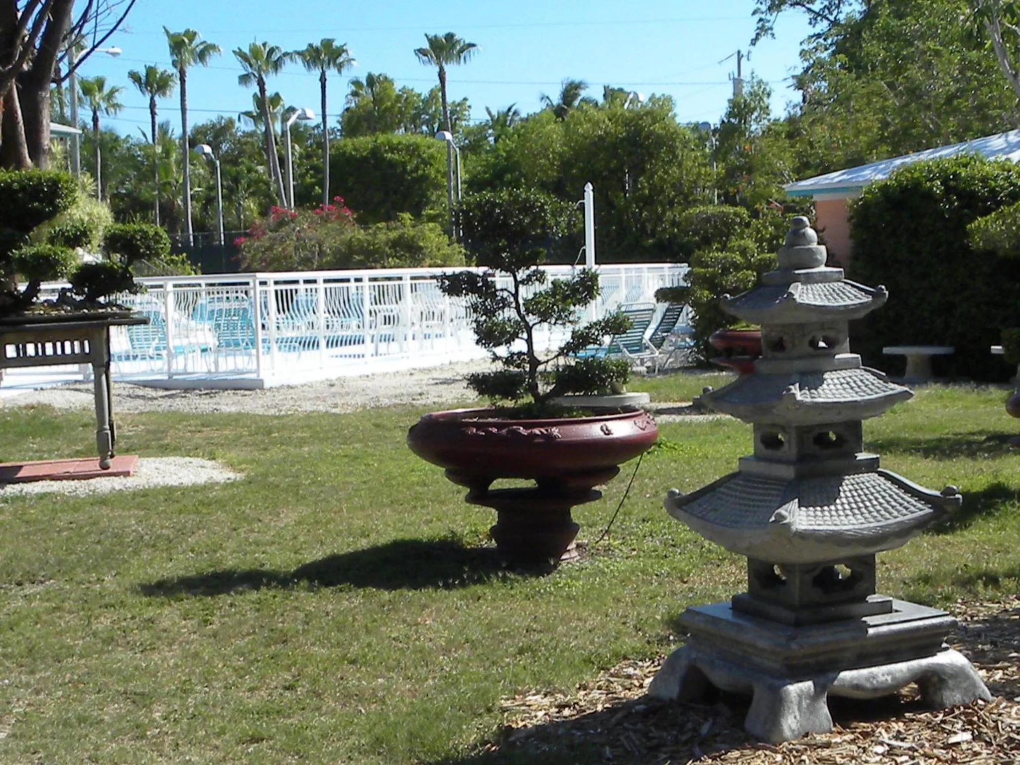 Garden in Rock Reef Resort