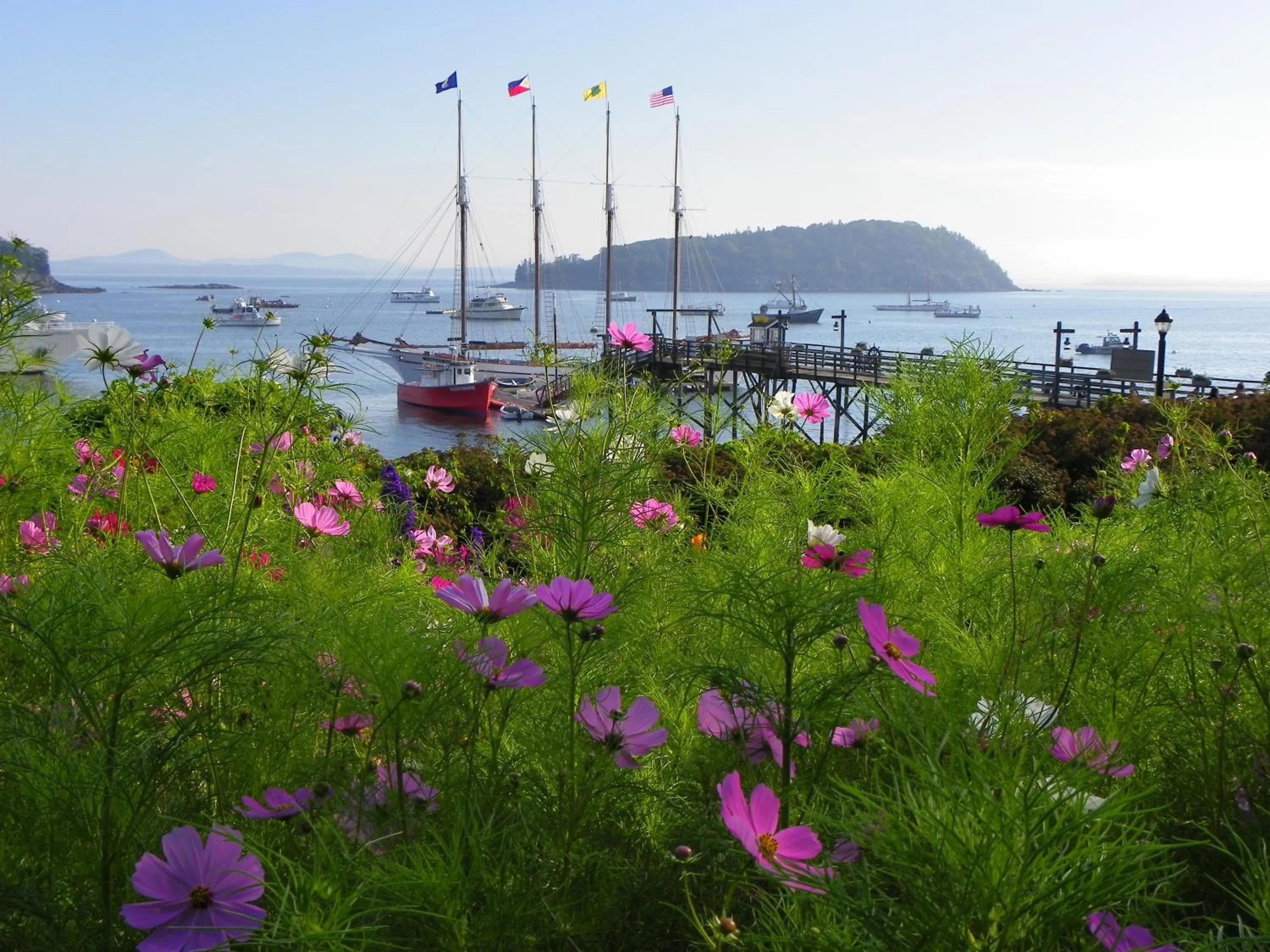 Area and facilities in Bar Harbor Inn and Spa