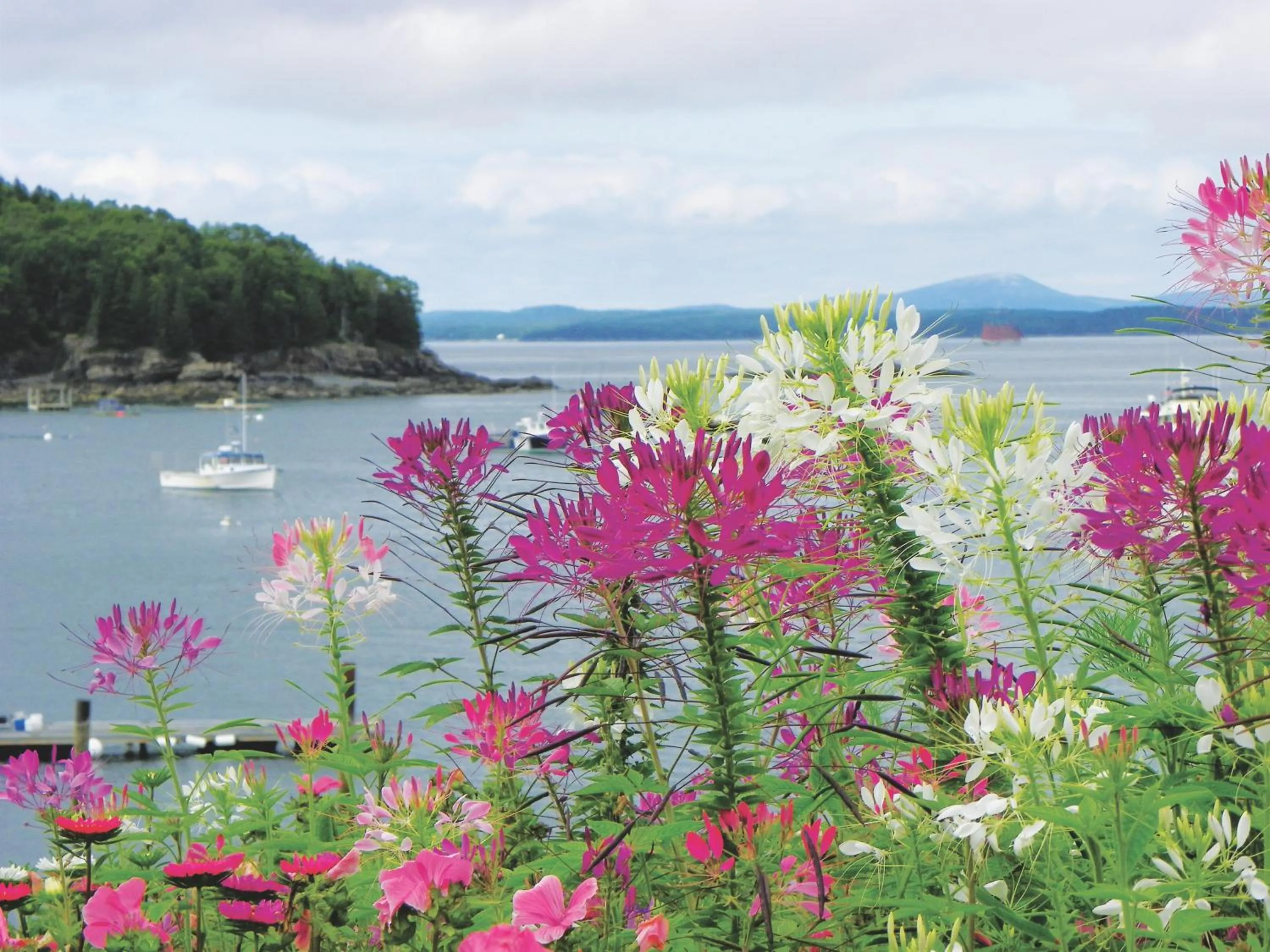 Area and facilities in Bar Harbor Inn and Spa