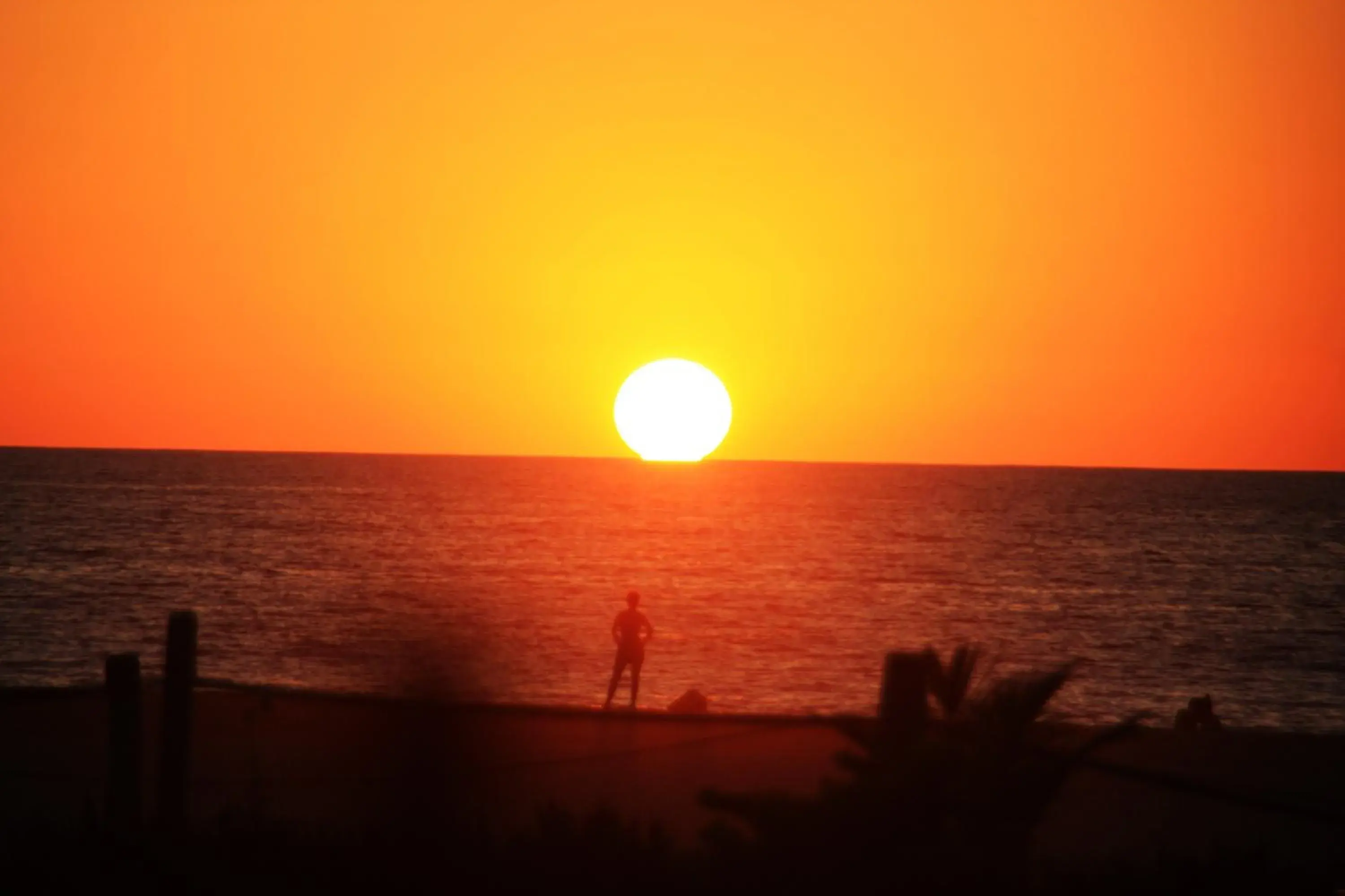 Restaurant/places to eat in Surf Olas Altas Restaurant/places to eat in Surf Olas Altas