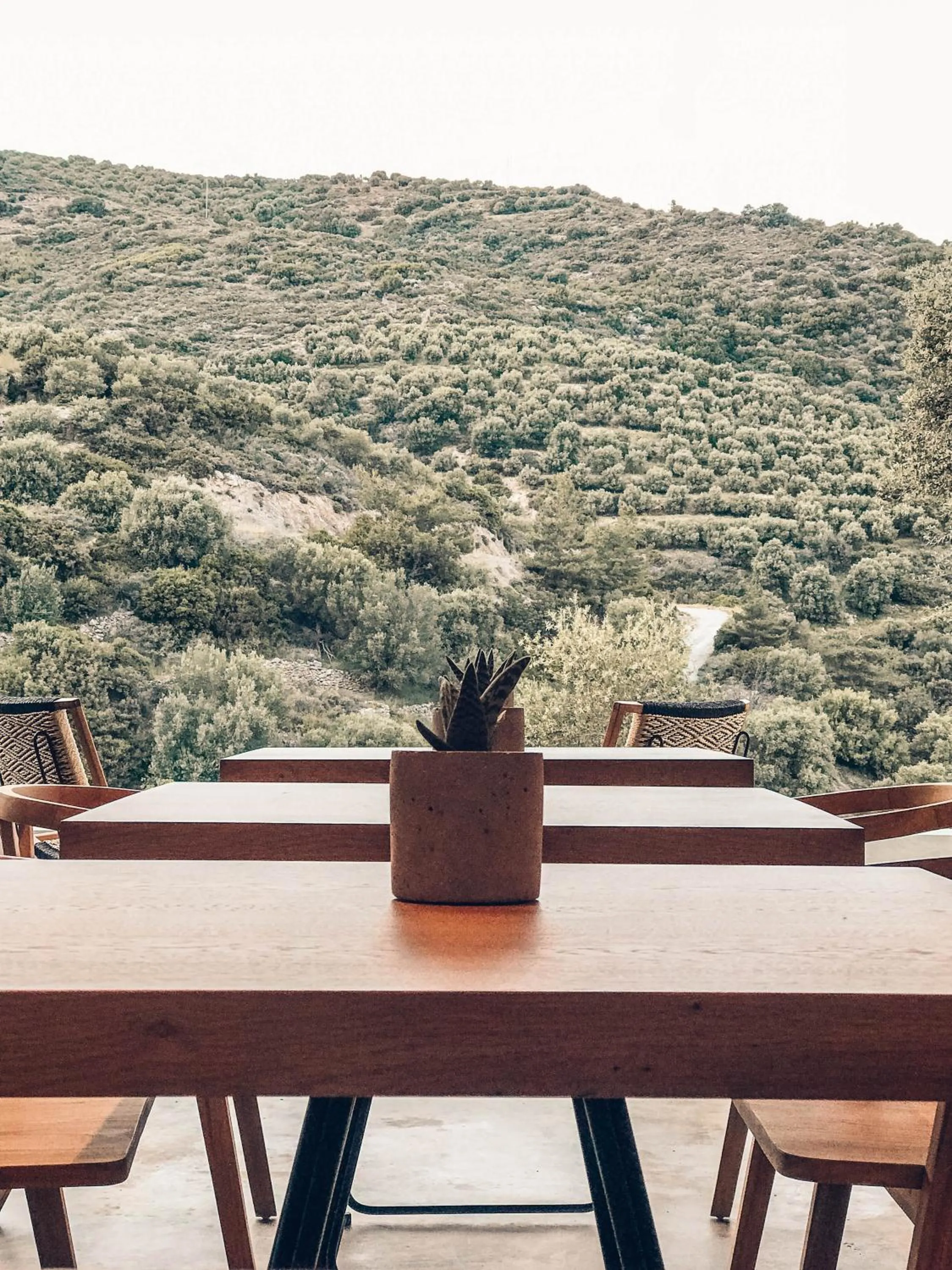 Mountain view in Monastery Estate Retreat