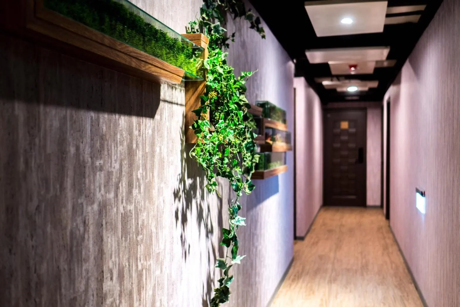 Facade/entrance in Greeninn Hotel