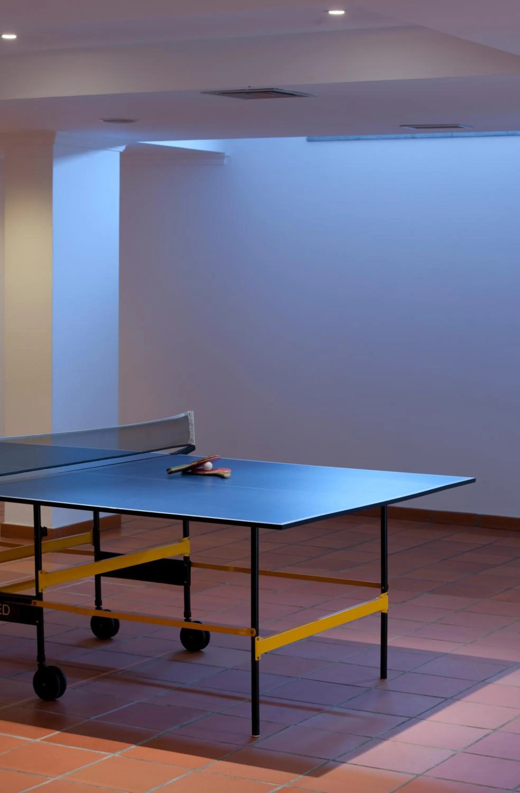 Table tennis in Madeira Panorâmico Hotel