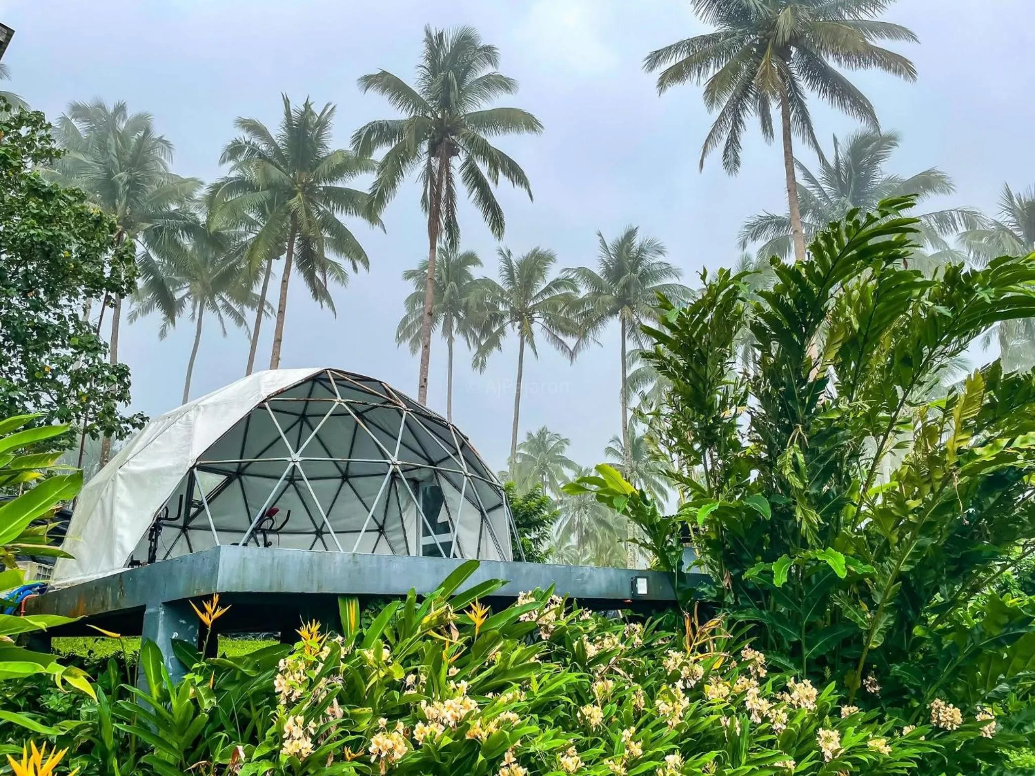 VIP in Bintana sa Paraiso Binunsaran