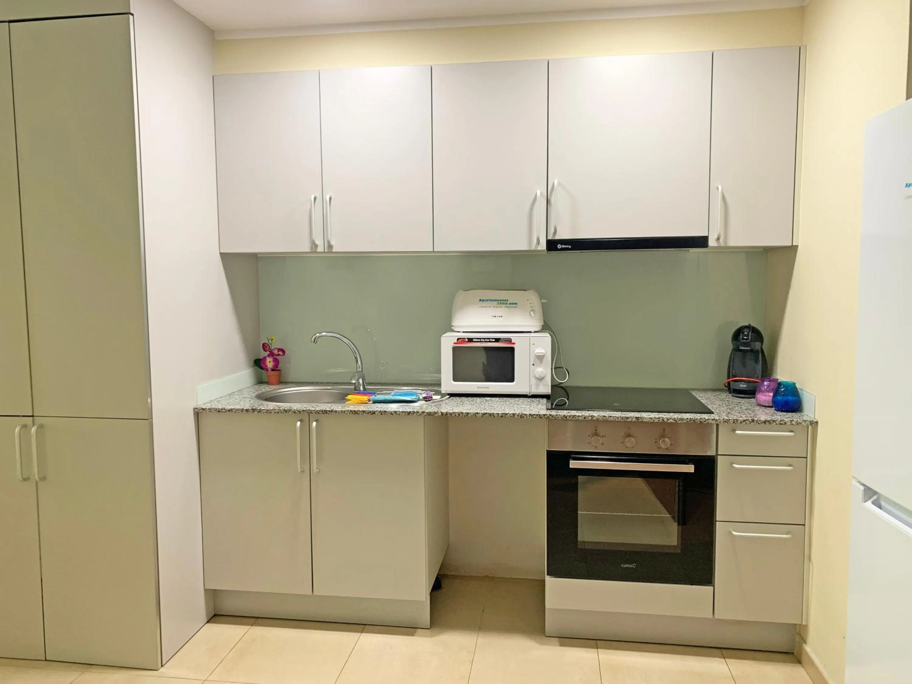 Kitchen or kitchenette in Apartamentos Llorts Ordino 3000